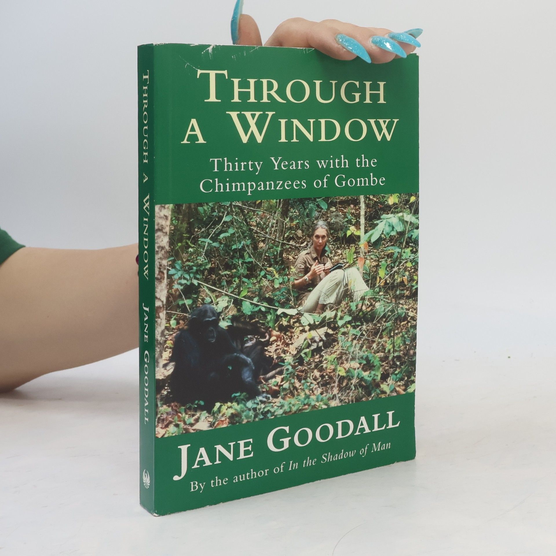 Jane Goodall Through a Window