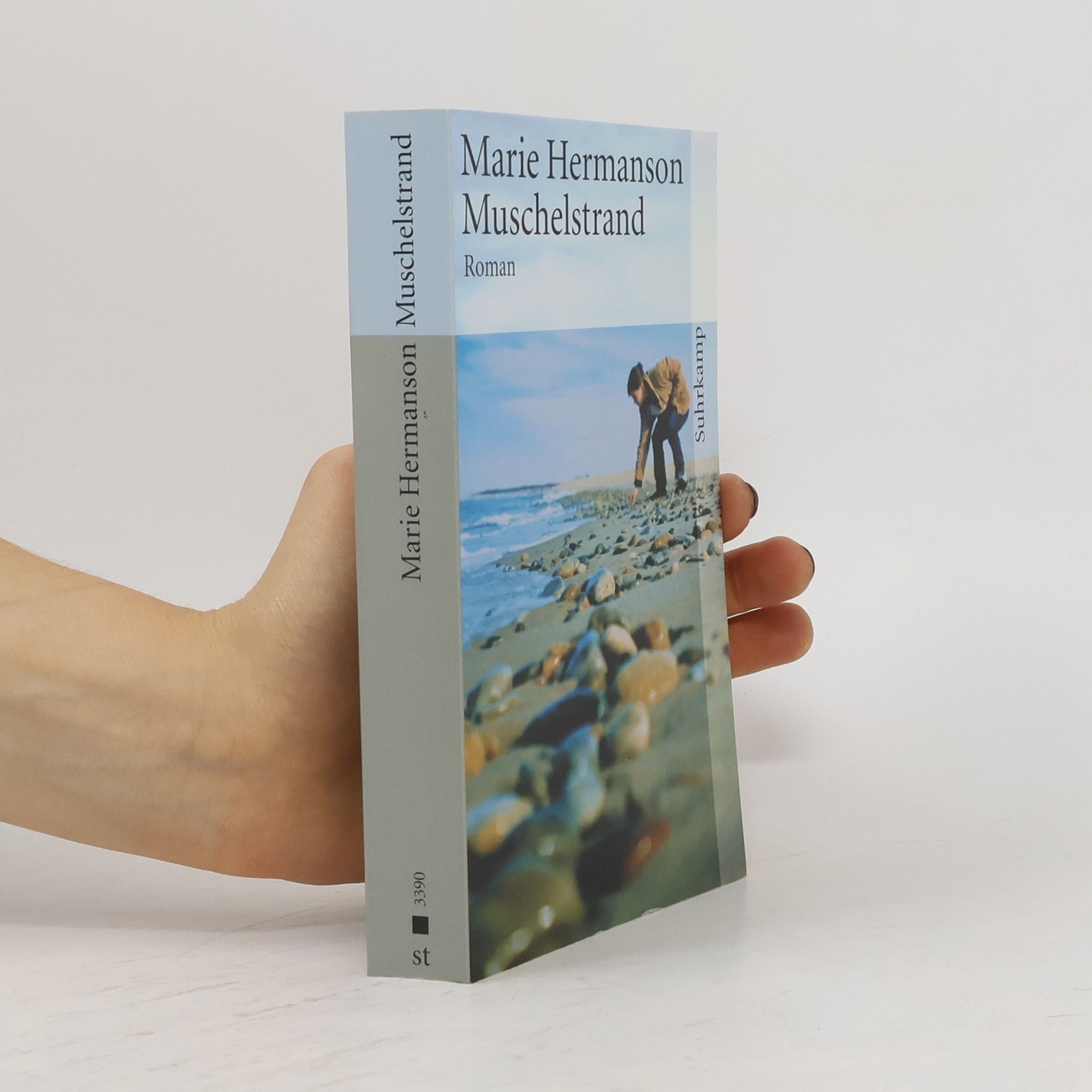 Marie Hermanson Muschelstrand
