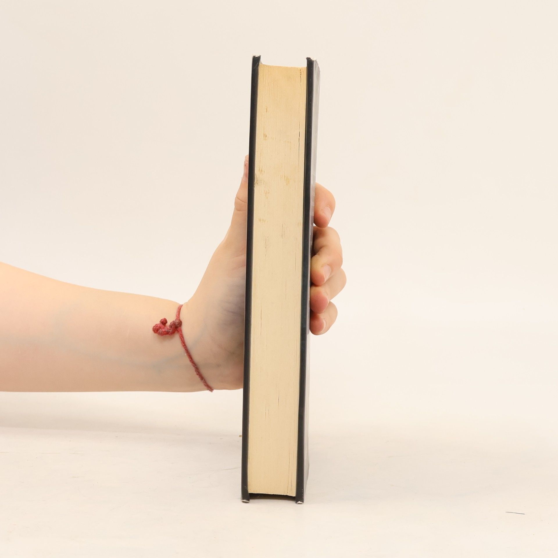 Catherine Fisher Inkarceron, 1. díl. česky