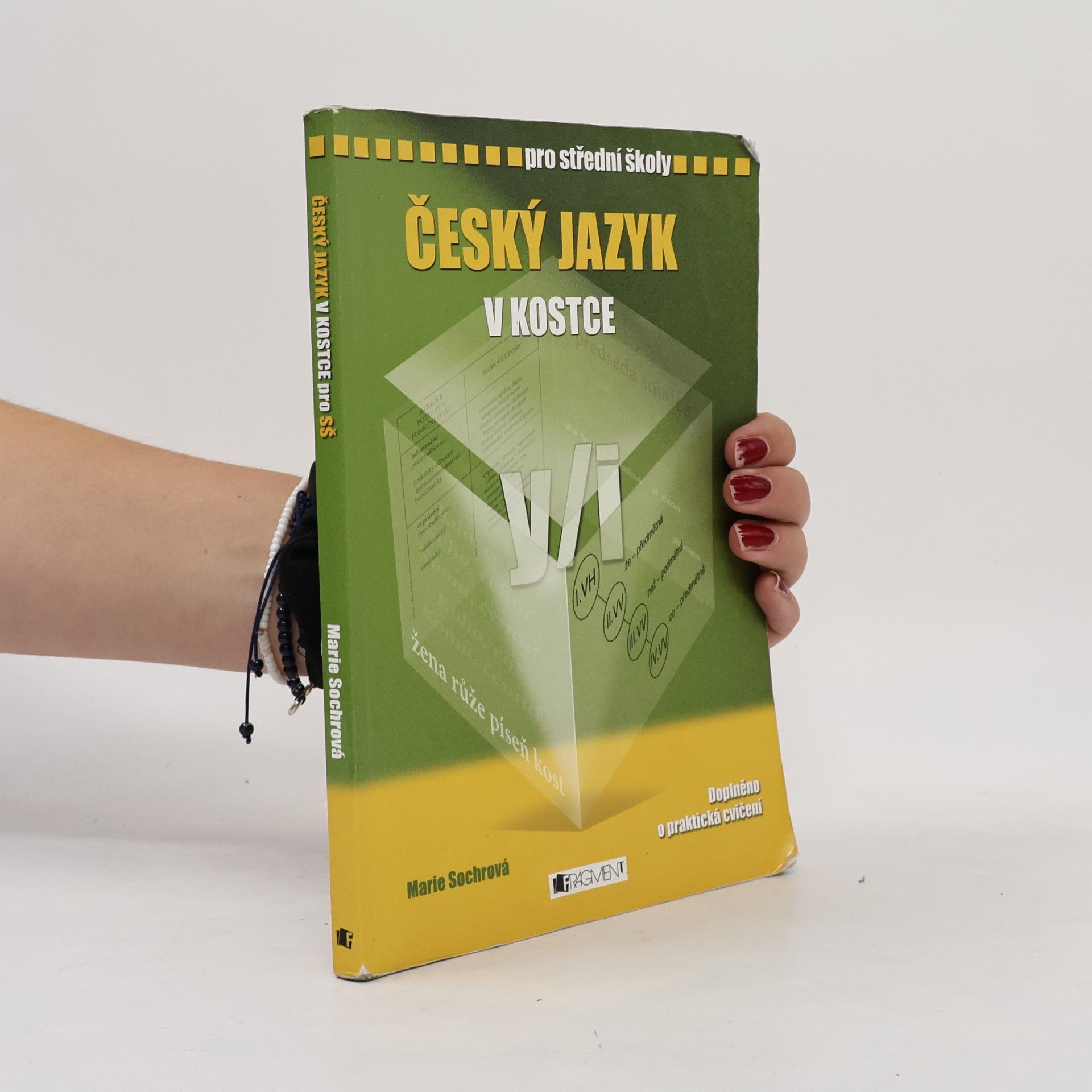 Marie Sochrová Český jazyk v kostce : pro střední školy