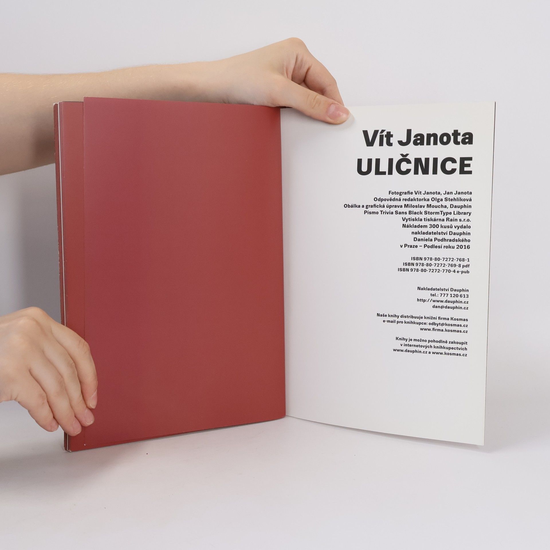 Vít Janota Uličnice