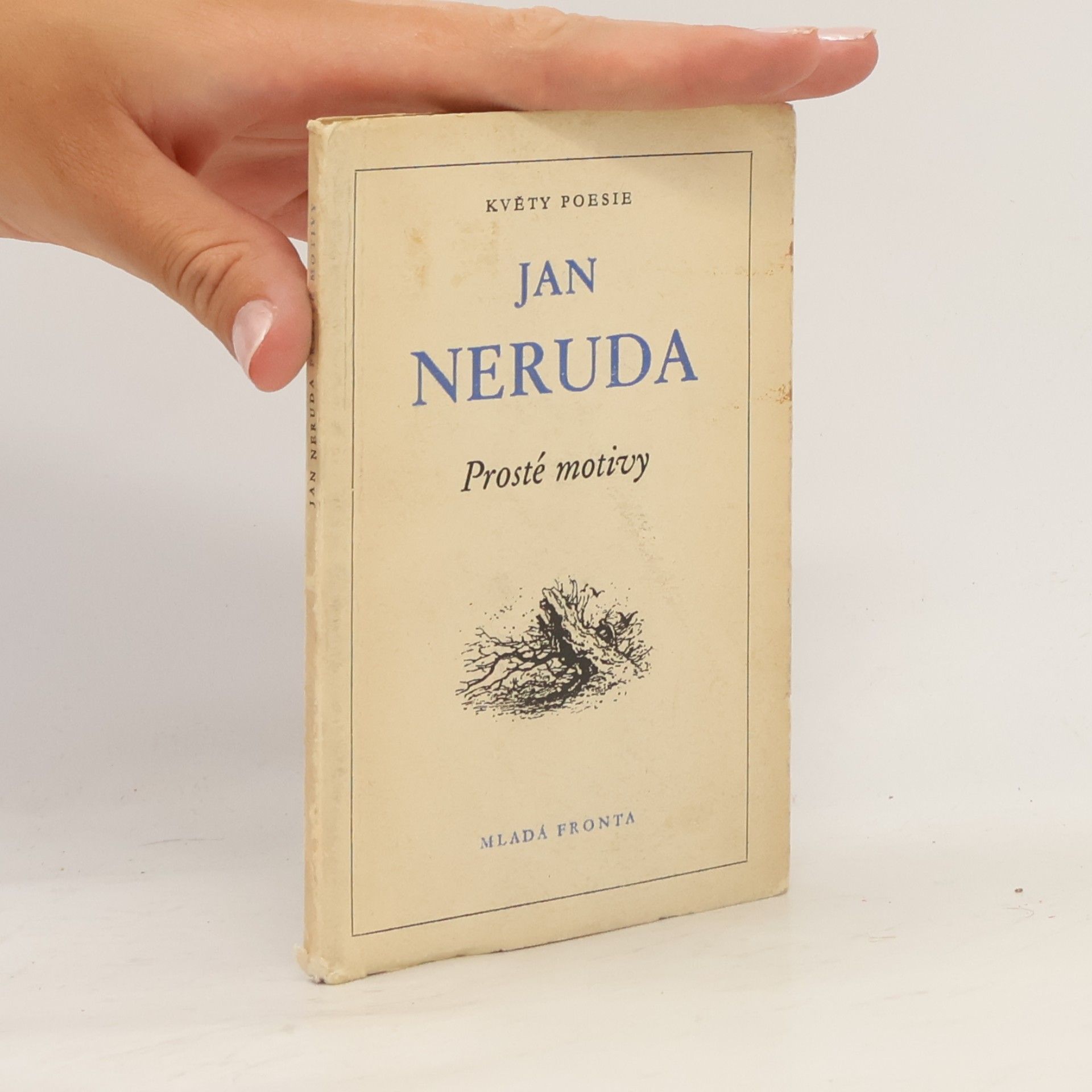 Jan Neruda Prosté motivy