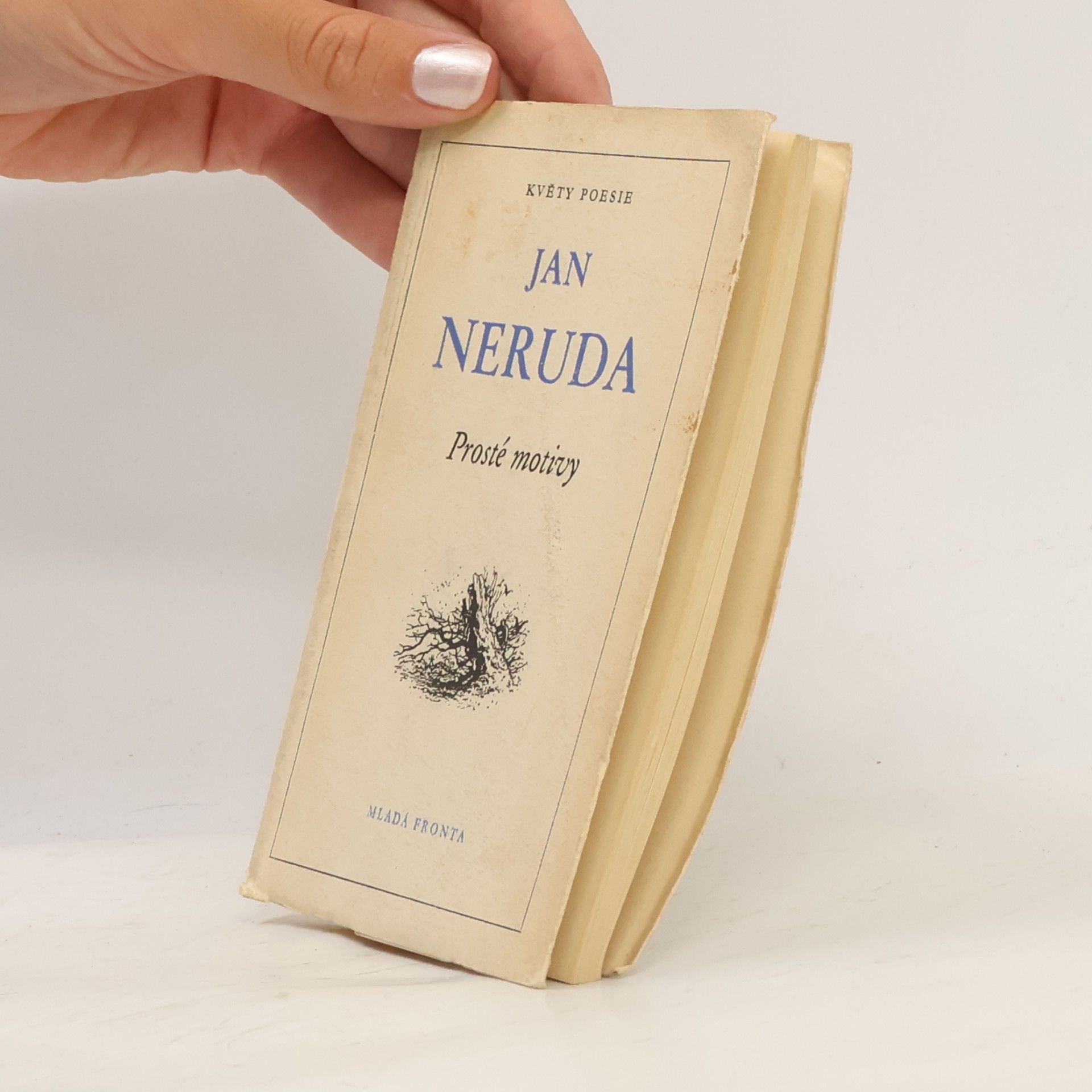 Jan Neruda Prosté motivy