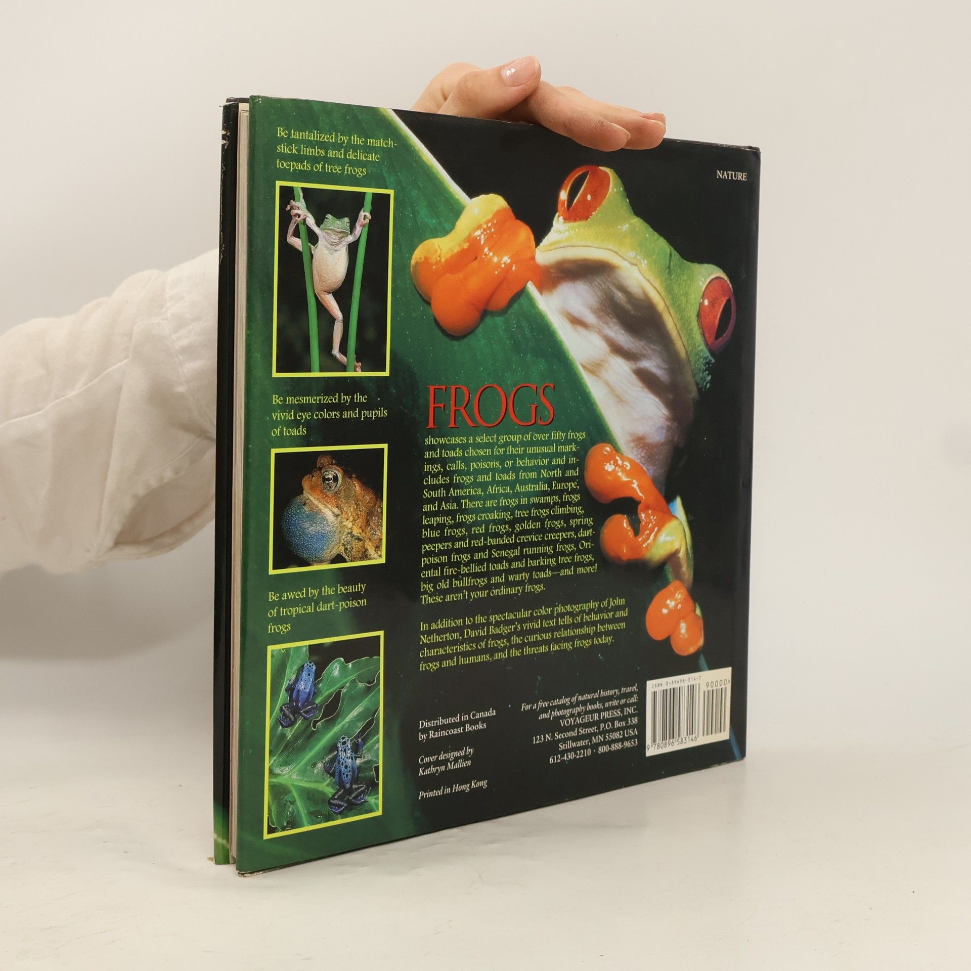 David P. Badger Frogs