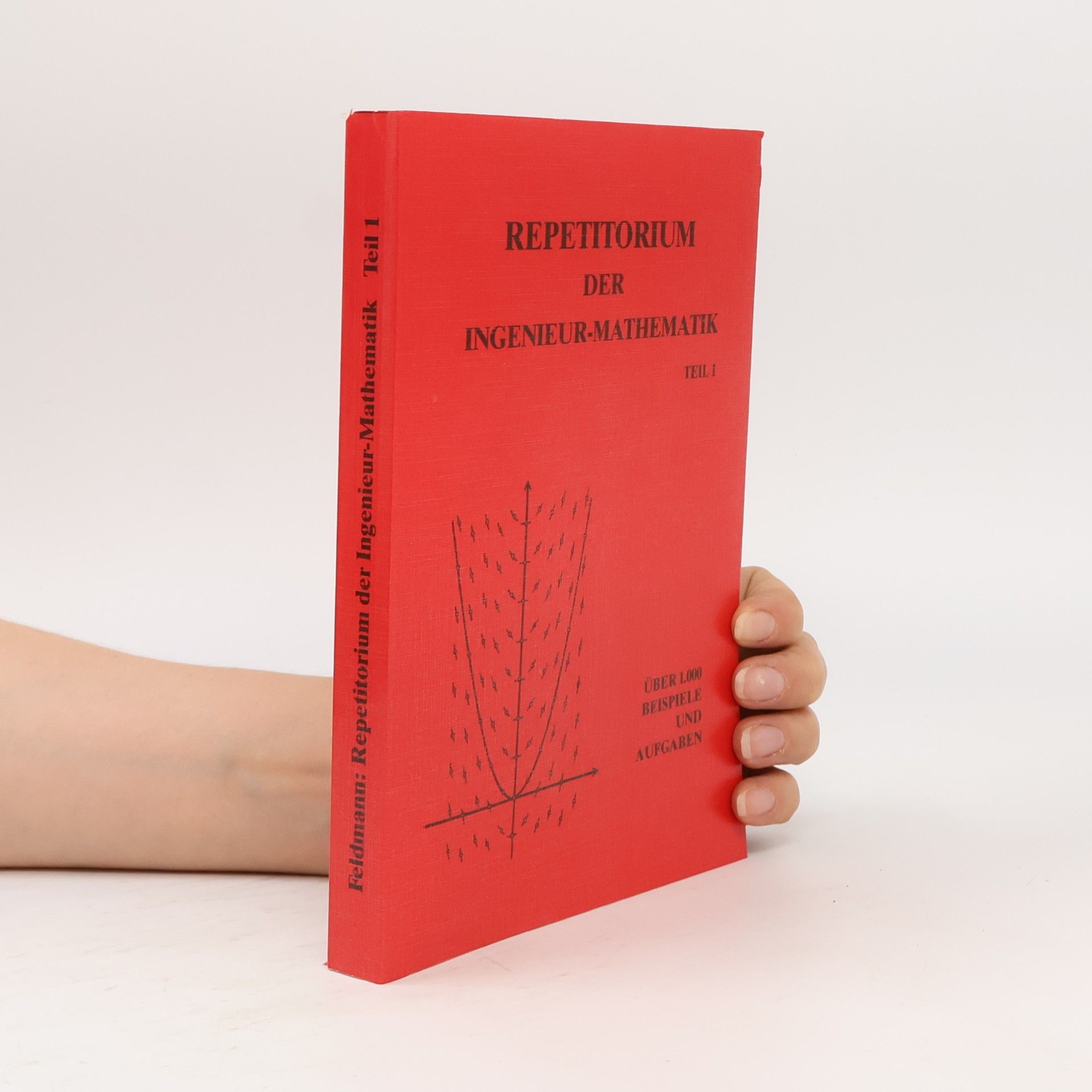 Dietrich Feldmann Repetitorium der Ingenieur-Mathematik