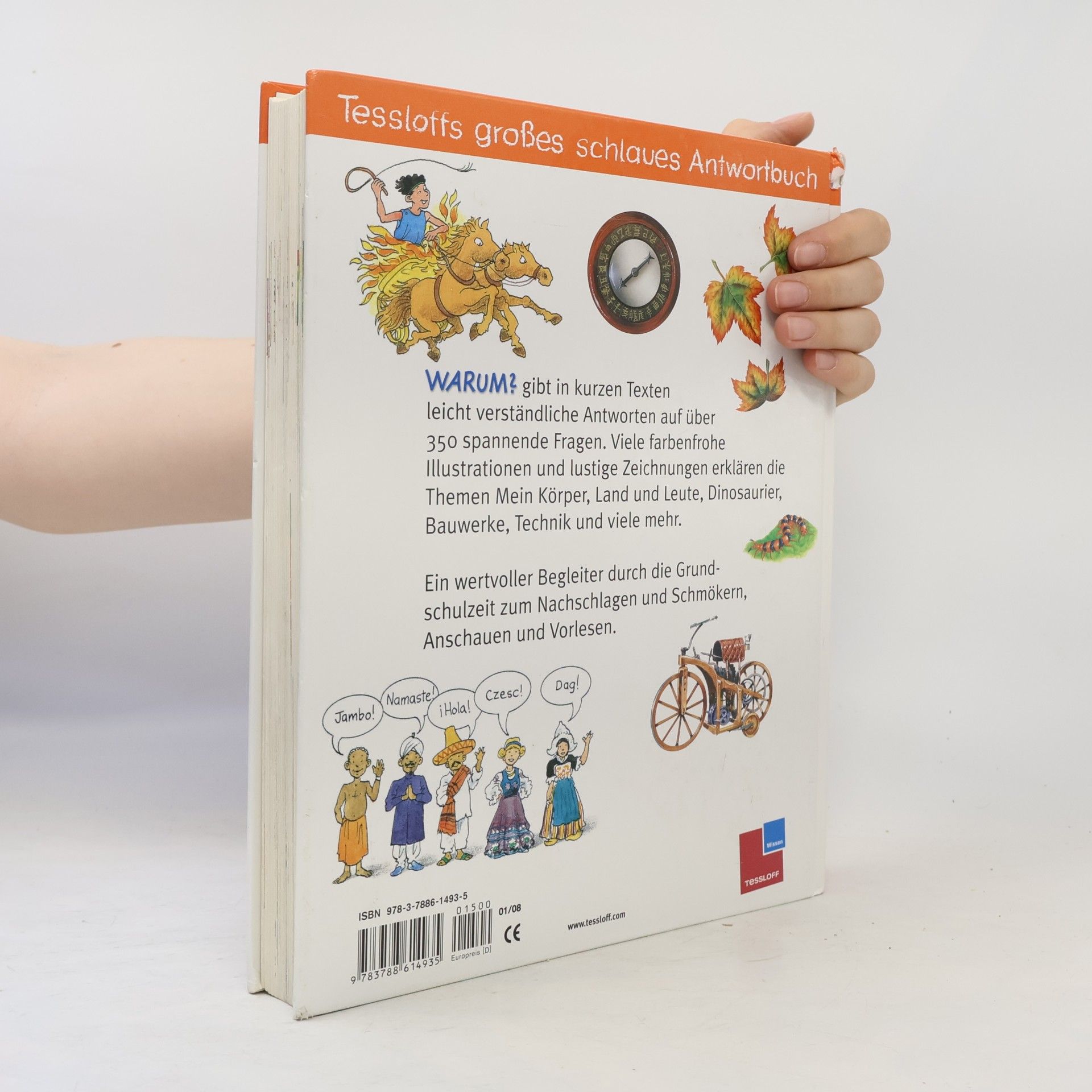 Kolektiv autorů Tessloffs großes schlaues Antwortbuch: Warum?