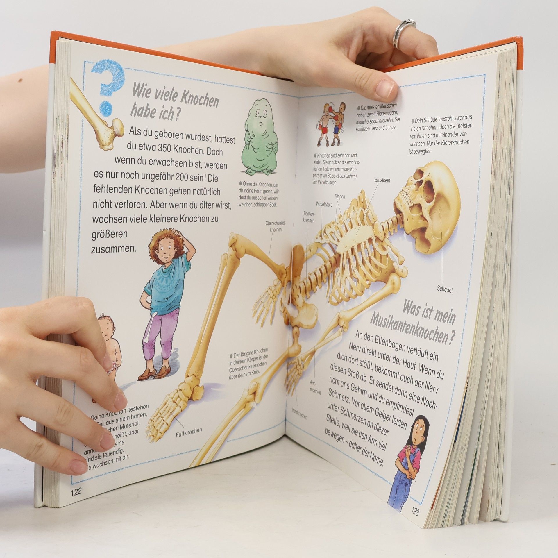 Kolektiv autorů Tessloffs großes schlaues Antwortbuch: Warum?