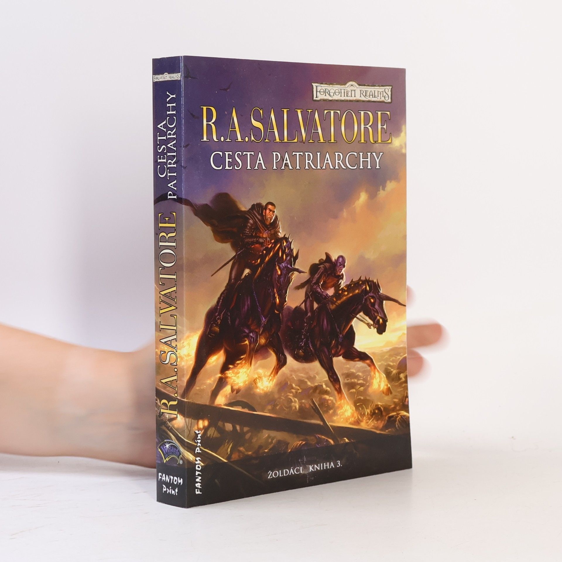R. A. Salvatore Žoldáci. Kniha 3., Cesta patriarchy