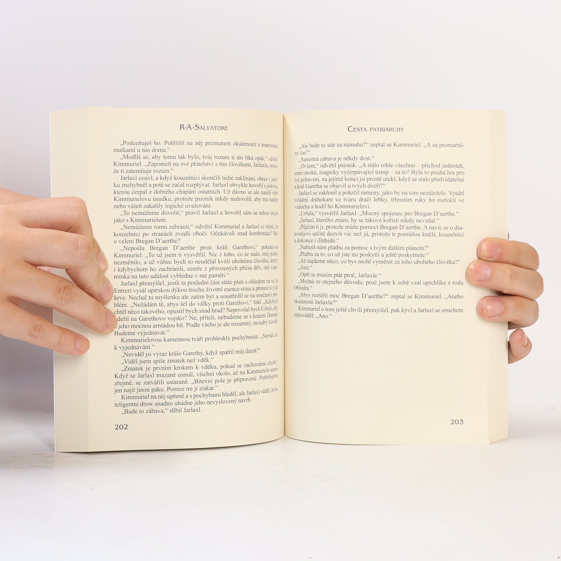 R. A. Salvatore Žoldáci. Kniha 3., Cesta patriarchy