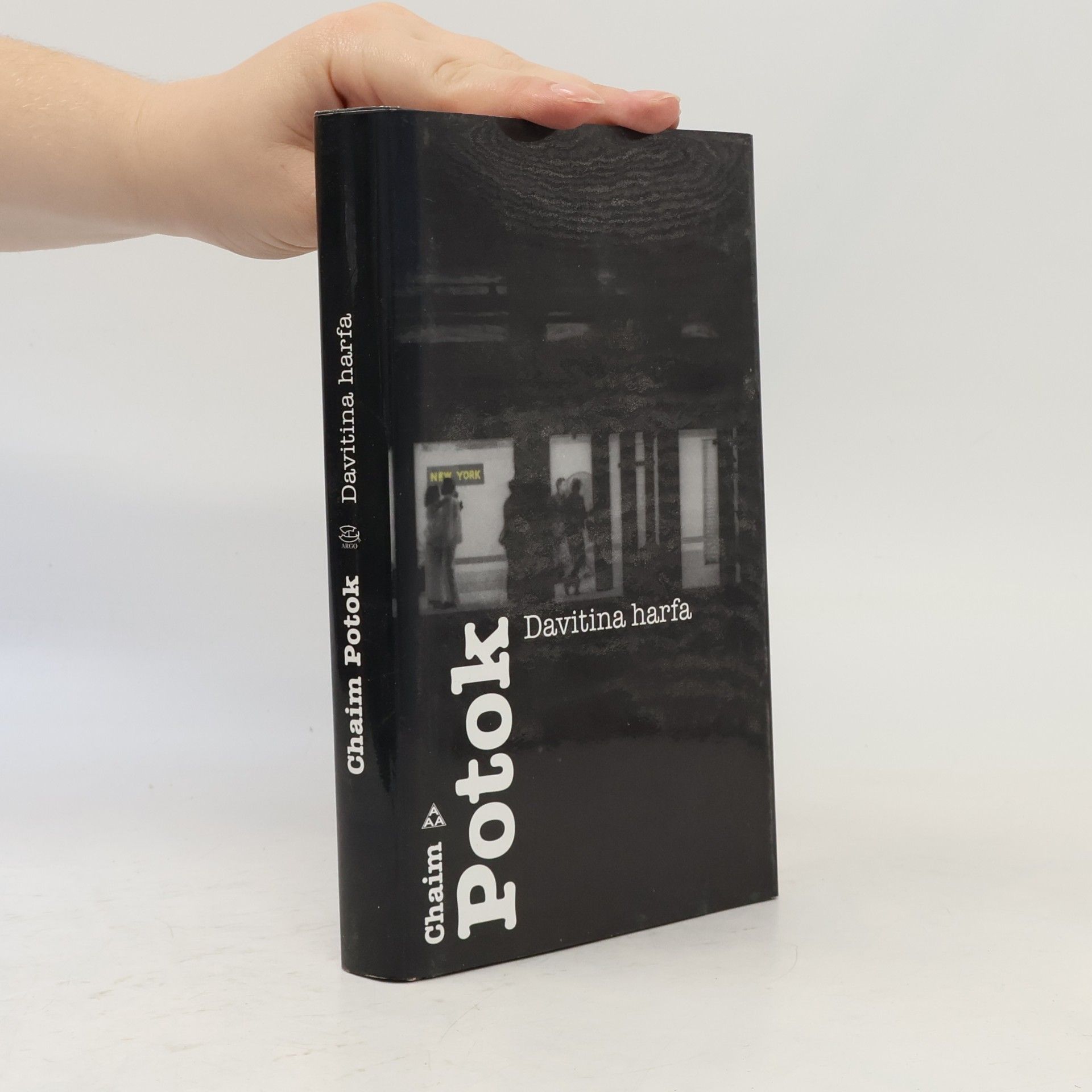 Chaim Potok Davitina harfa