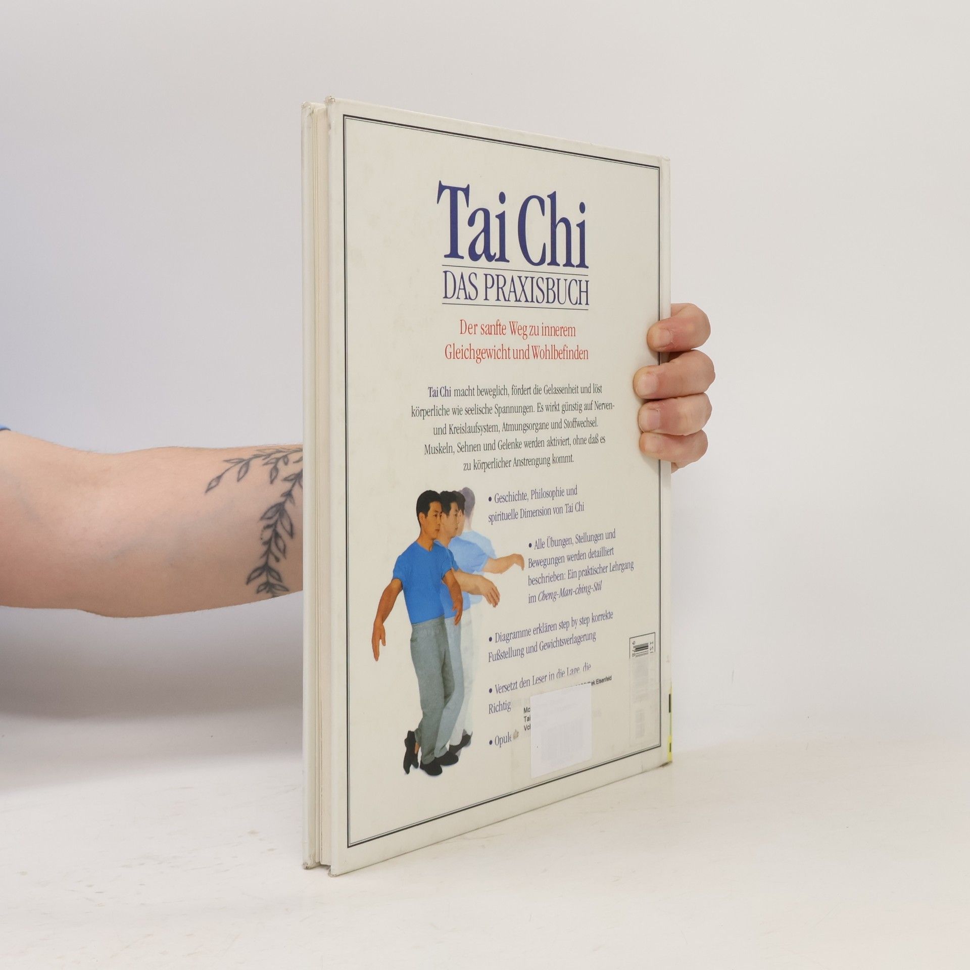 Stewart McFarlane Tai Chi : Das Praxisbuch
