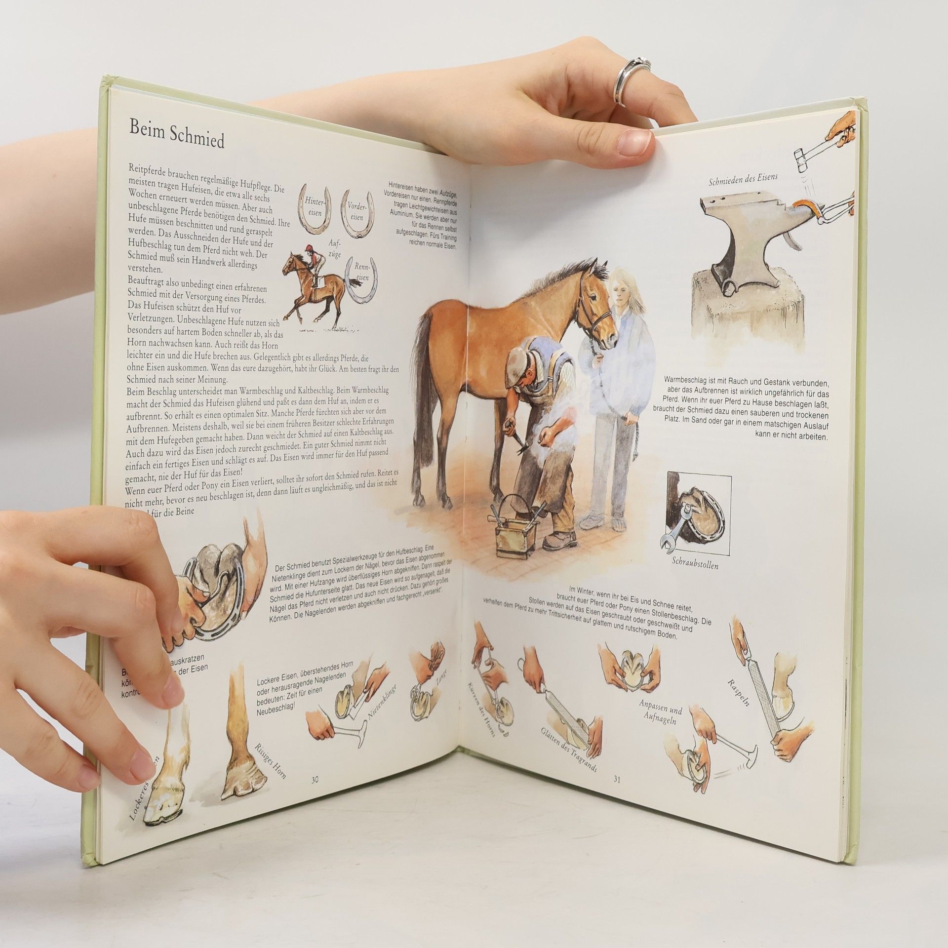 Carolyn Henderson Mein erstes Buch vom Reiten