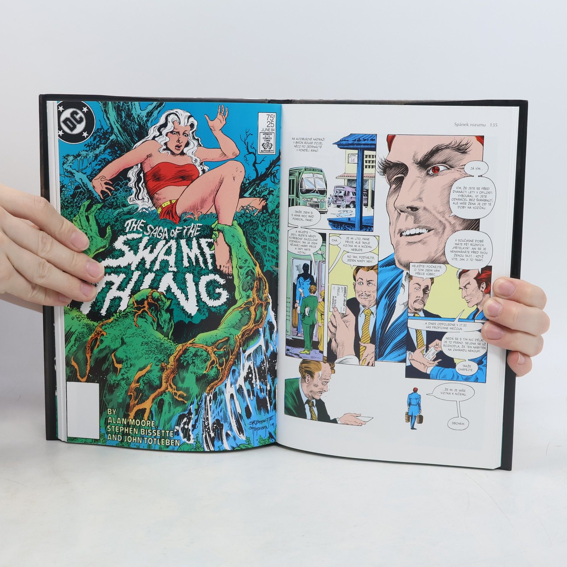 Alan Moore Bažináč = Swamp Thing : kniha první