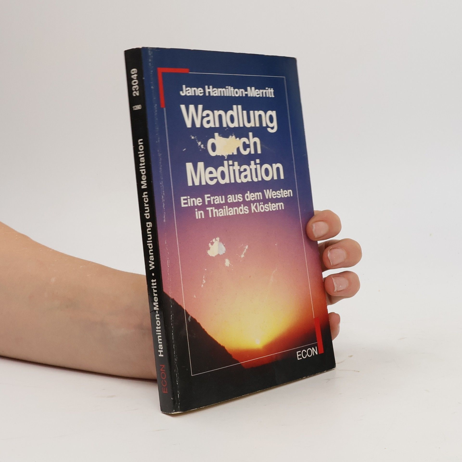 Jane Hamilton Wandlung durch Meditation