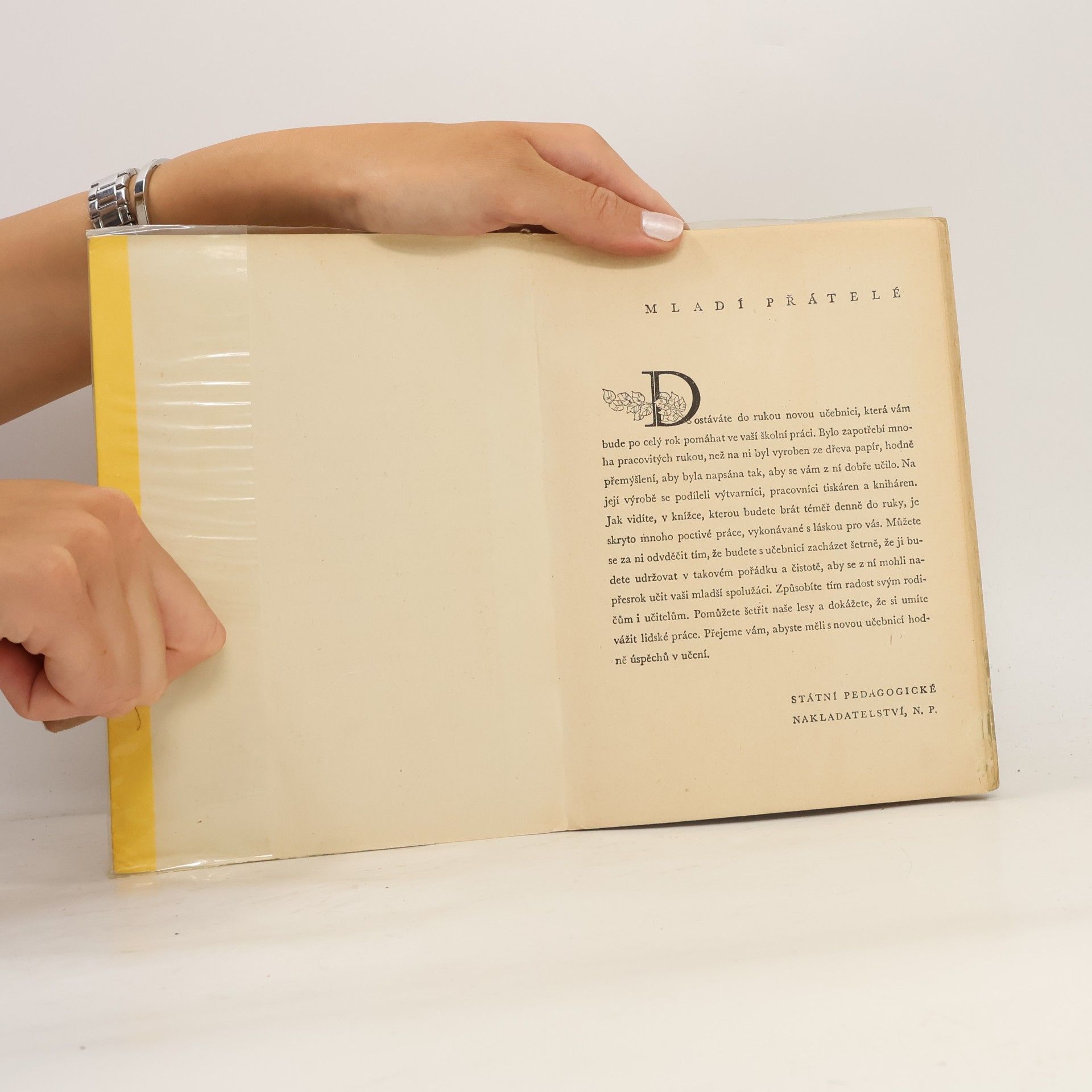 Bohuš Balajka Nástin dějin starší české literatury
