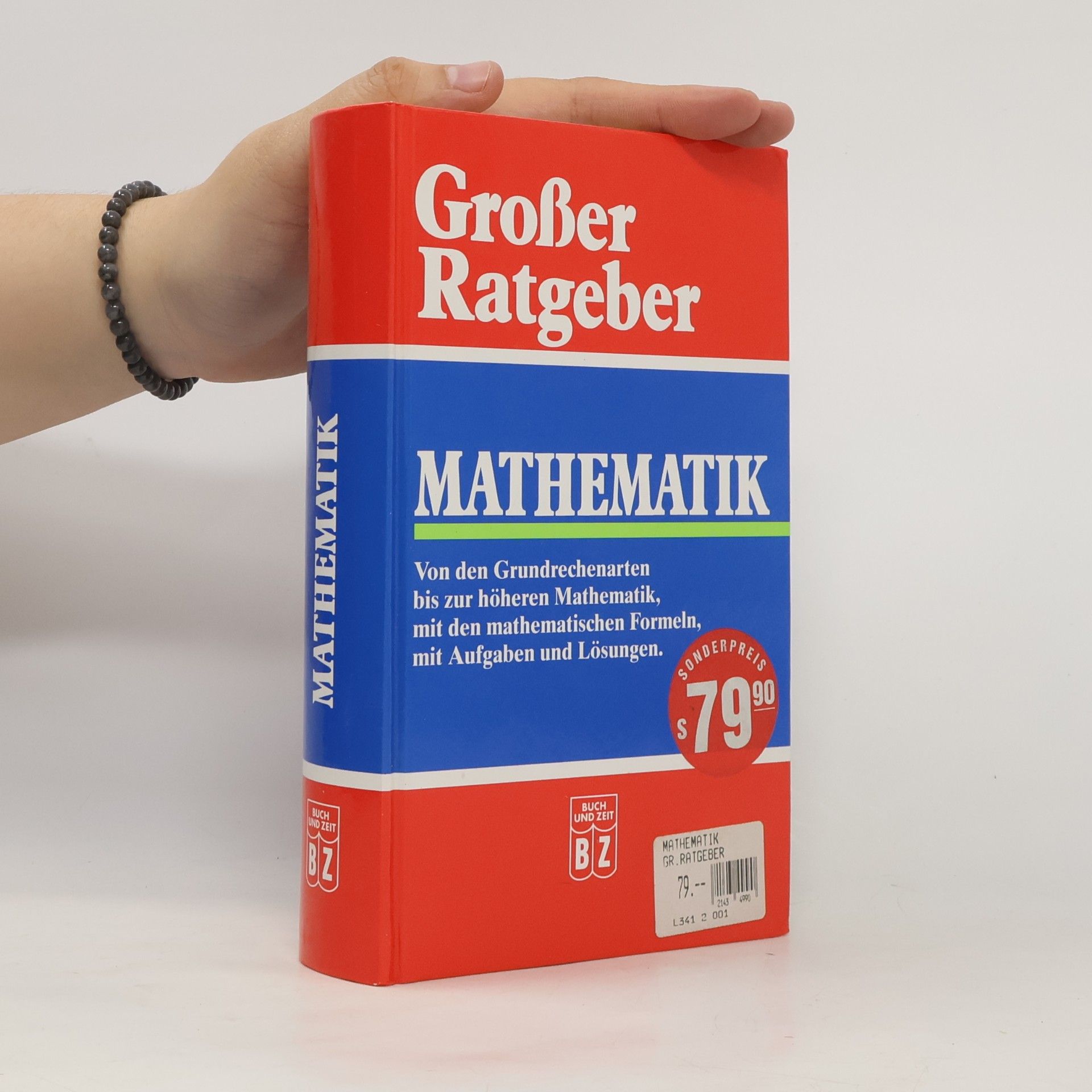 Autorenkollektiv Großer Ratgeber. Mathematik