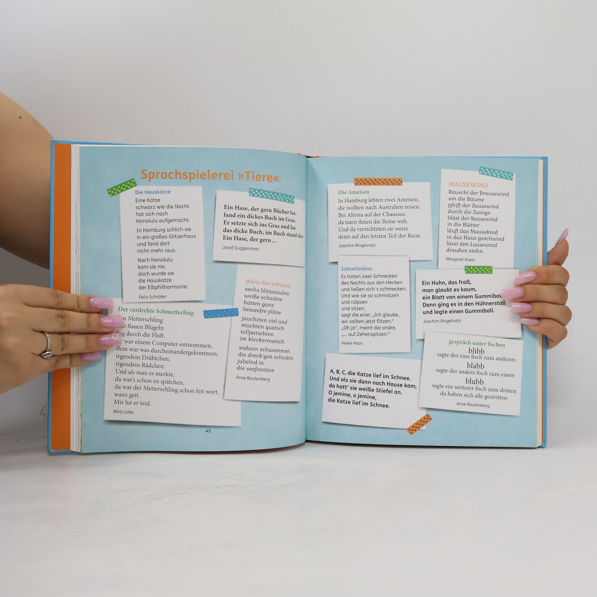 Andrea Schomburg Das Hamburger Geschichten-Buch