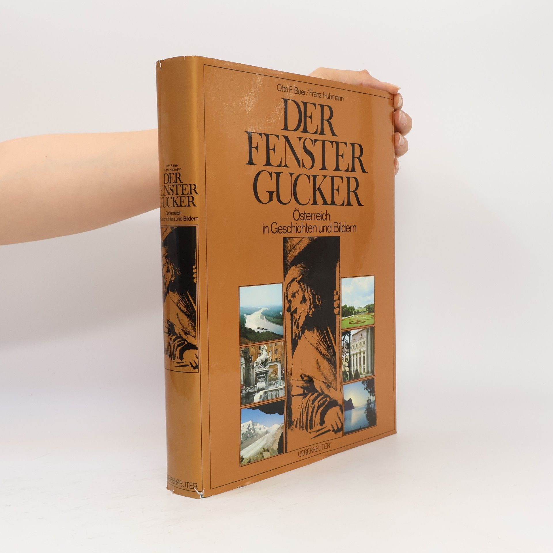 Der Fenstergucker