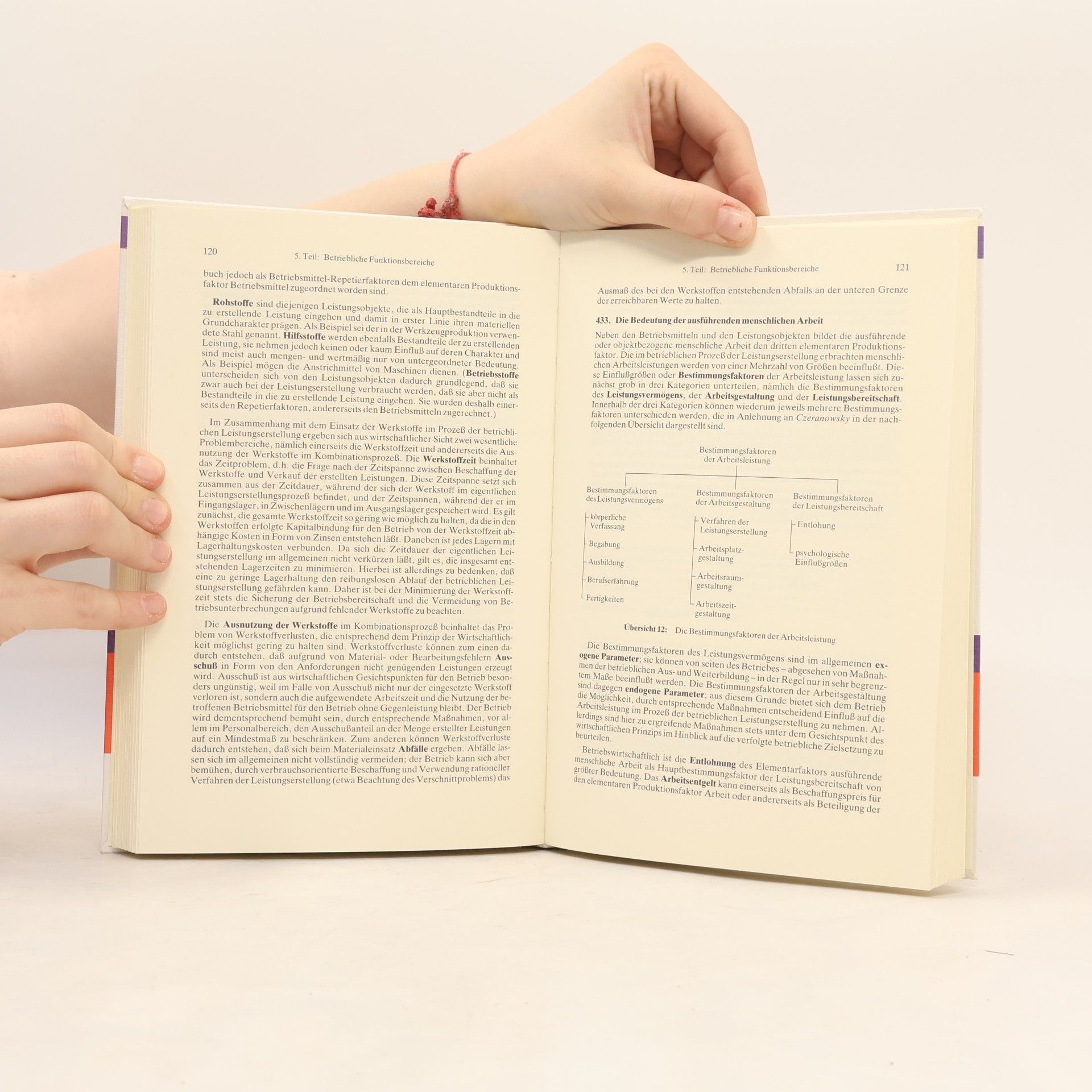 Sönke H. F. Peters Betriebswirtschaftslehre: 6. Auflage