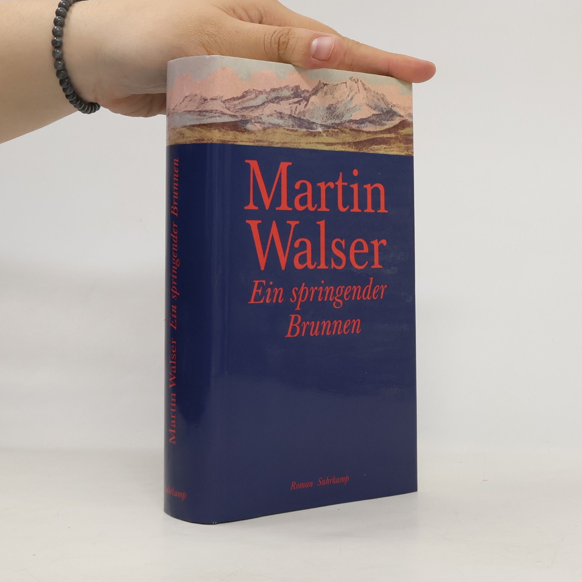 Martin Walser Ein springender Brunnen