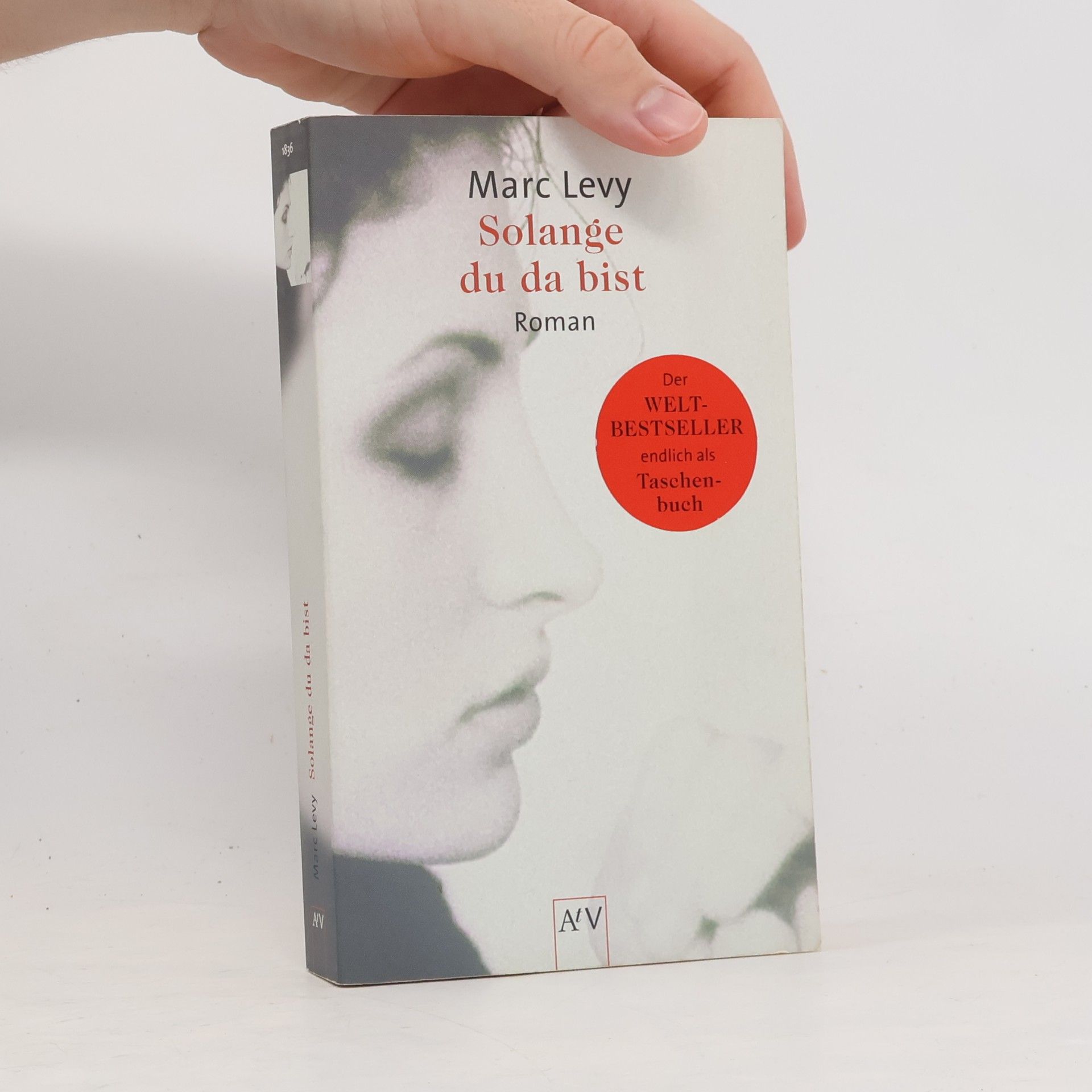Marc Levy Solange du da bist