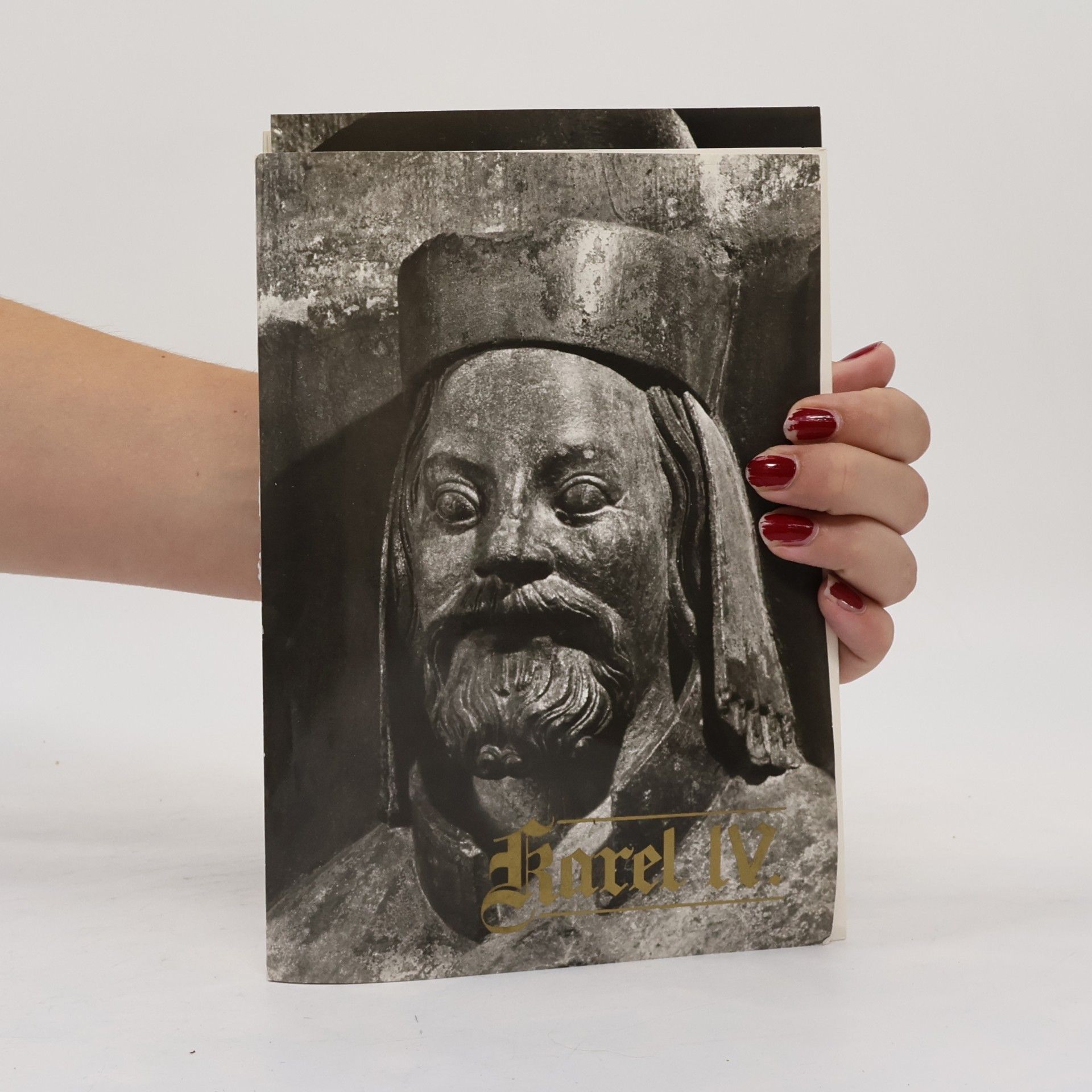 Autorenkollektiv Karel IV.
