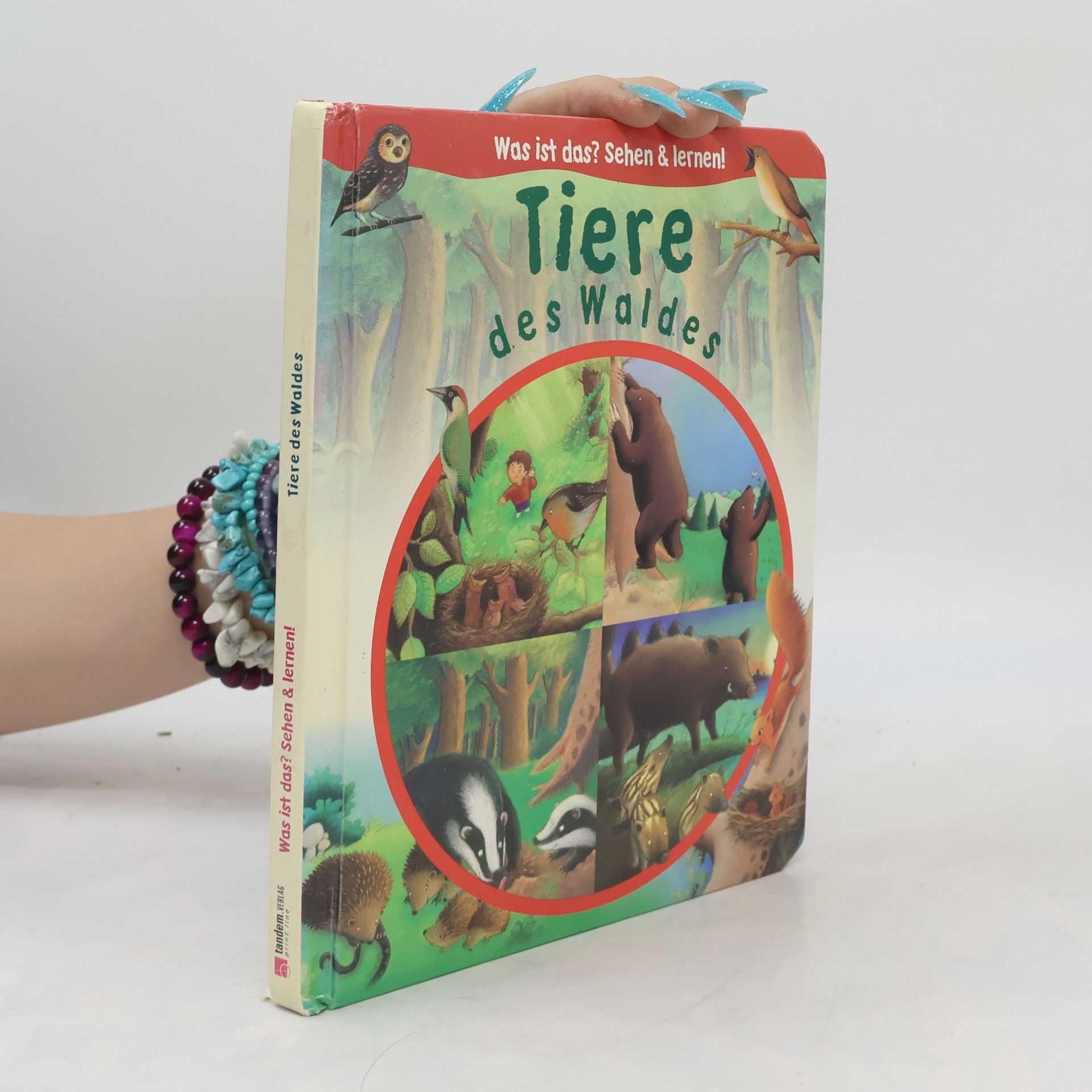 Collectif d'auteurs Tiere des Waldes