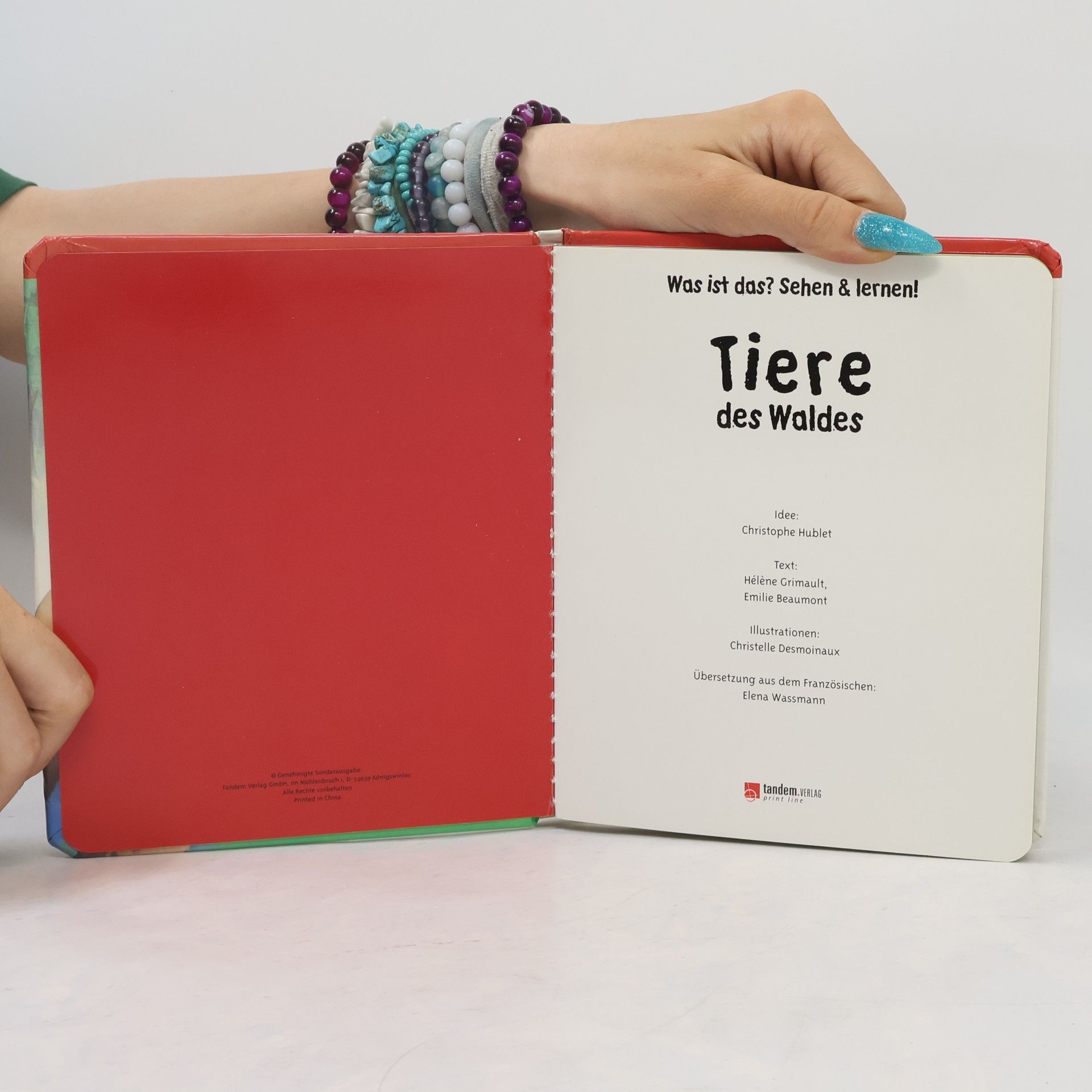 Collectif d'auteurs Tiere des Waldes