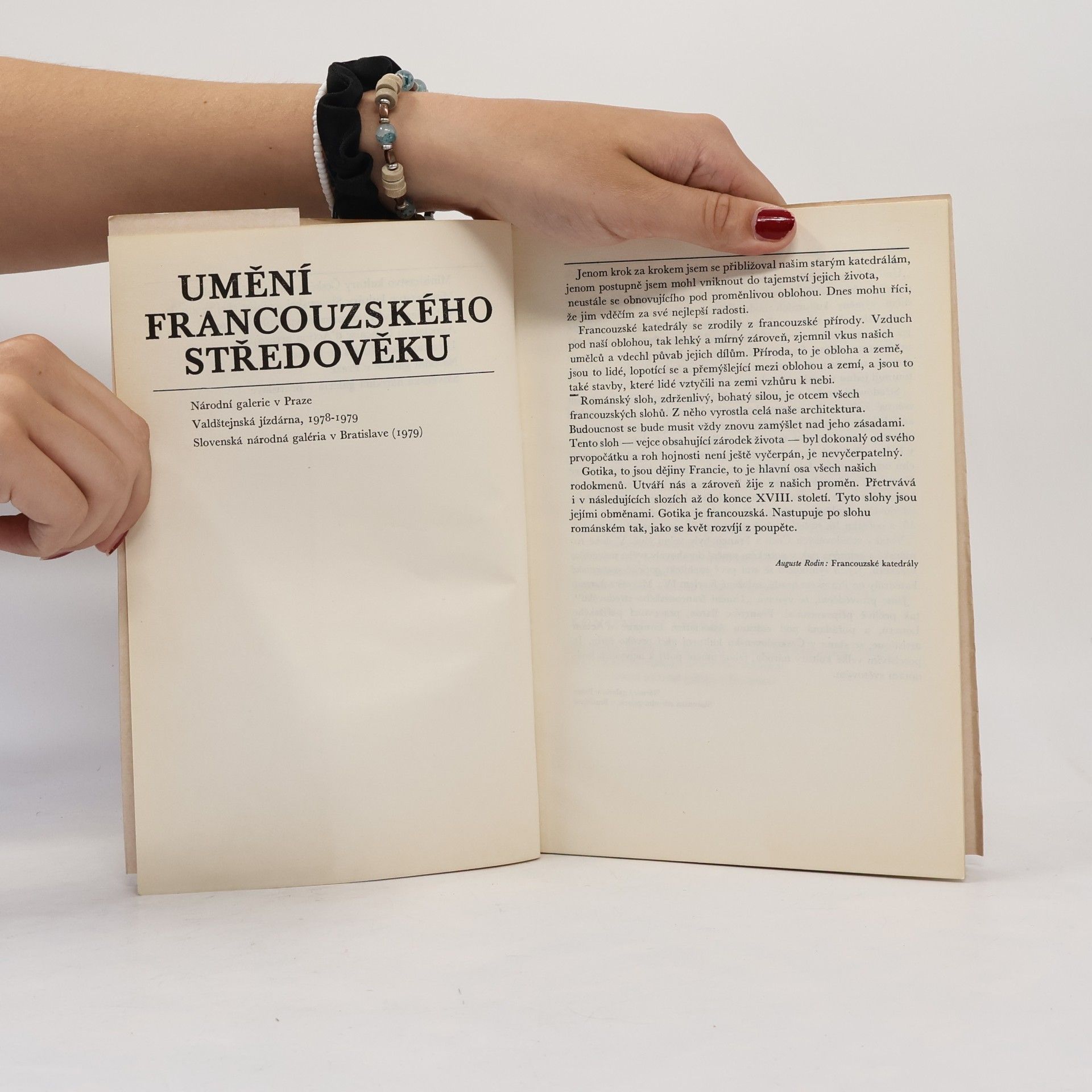 Baron Francoise Umění francouzského středověku