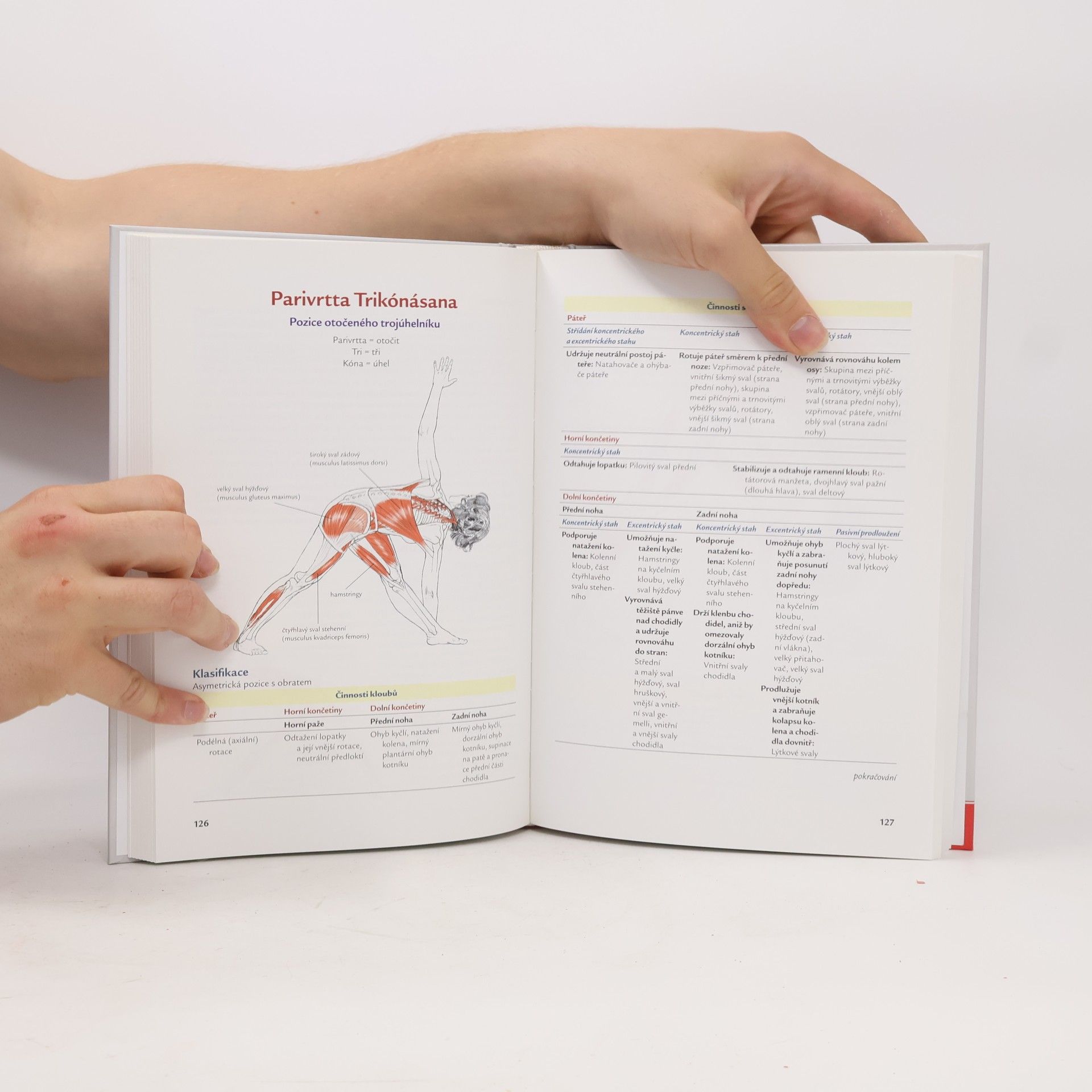 Leslie Kaminoff Jóga. Anatomie