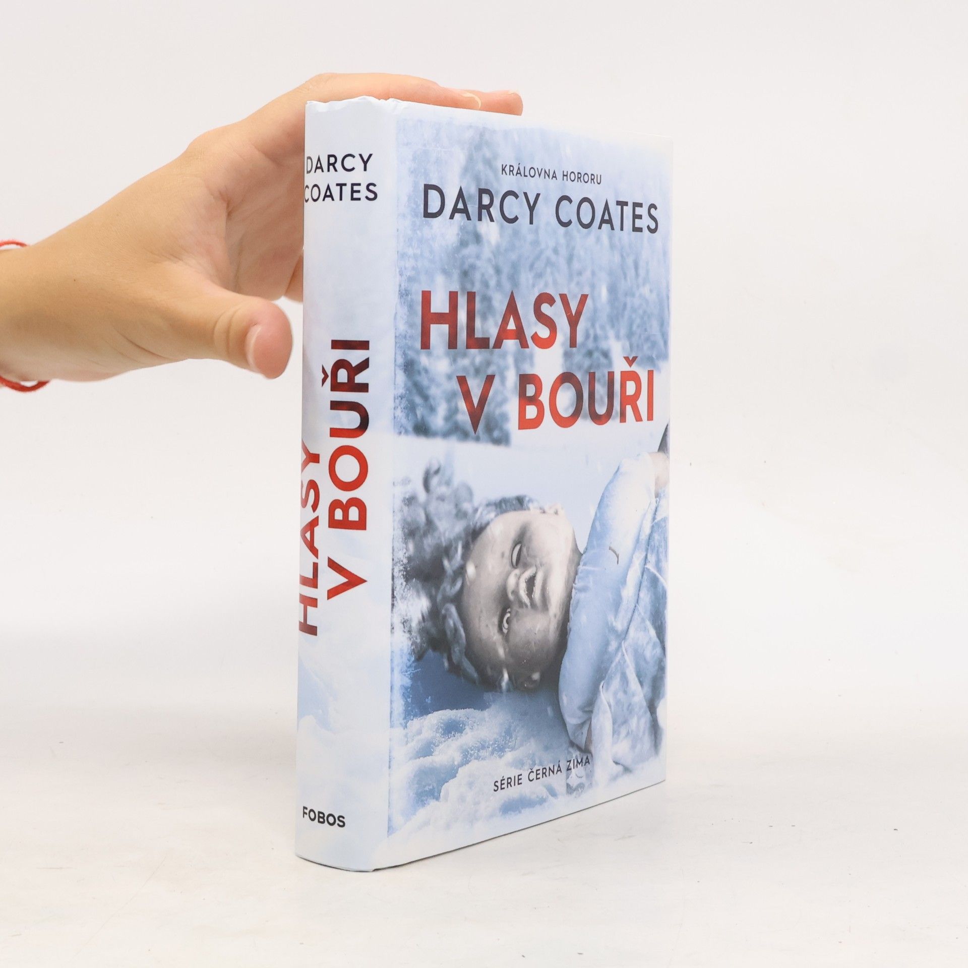 Darcy Coates Hlasy v bouři