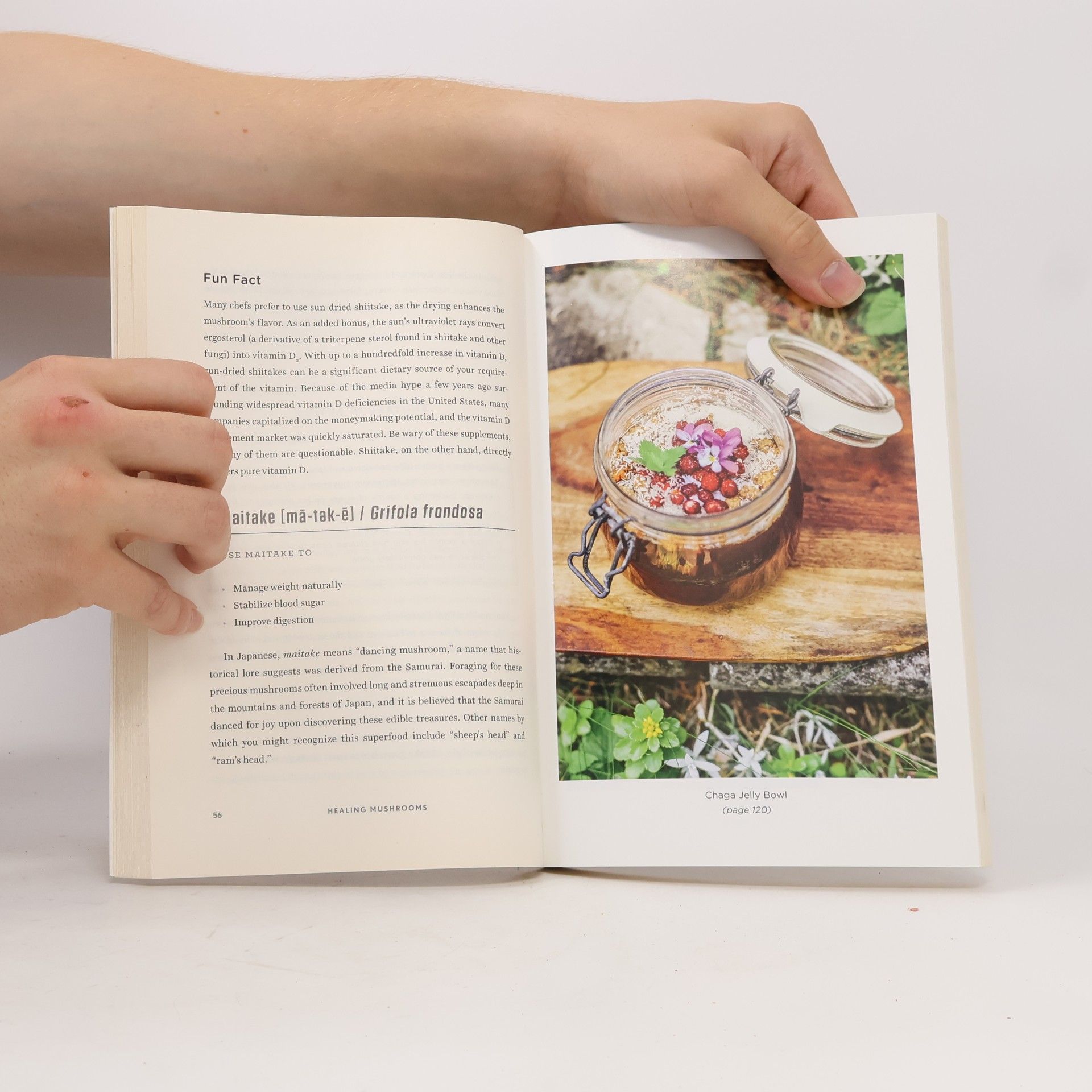Tero Isokauppila Healing Mushrooms