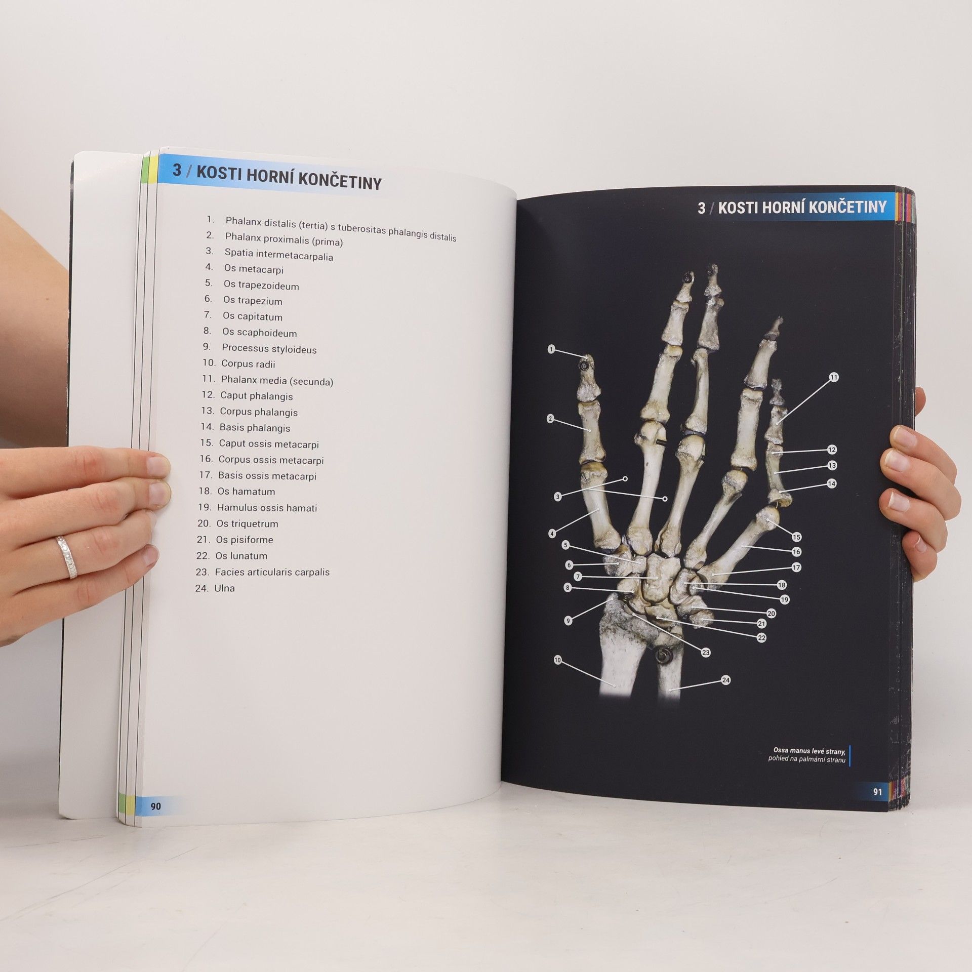 Kolektiv autorů Atlas vybraných kapitol anatomie člověka