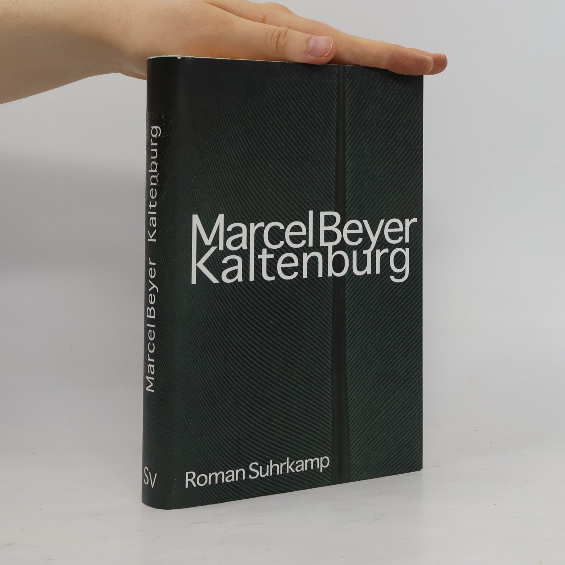 Marcel Beyer Kaltenburg