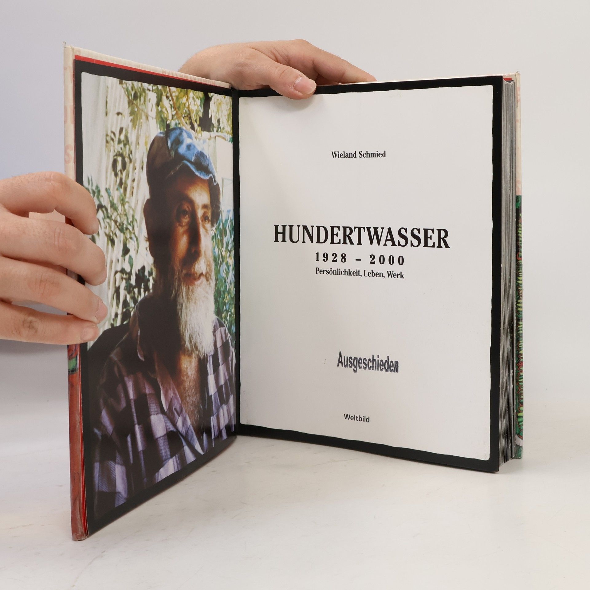 Wieland Schmied Hundertwasser