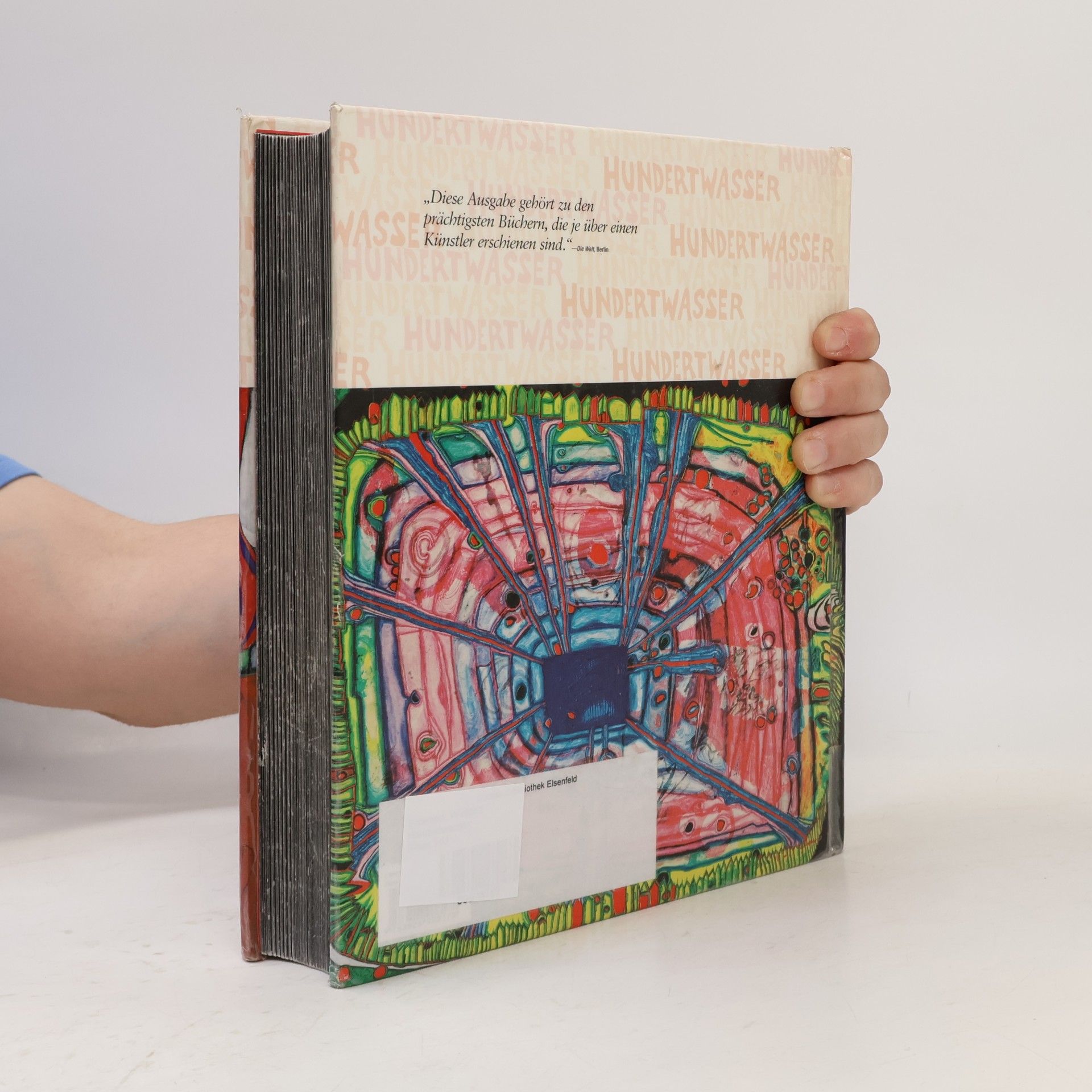 Wieland Schmied Hundertwasser
