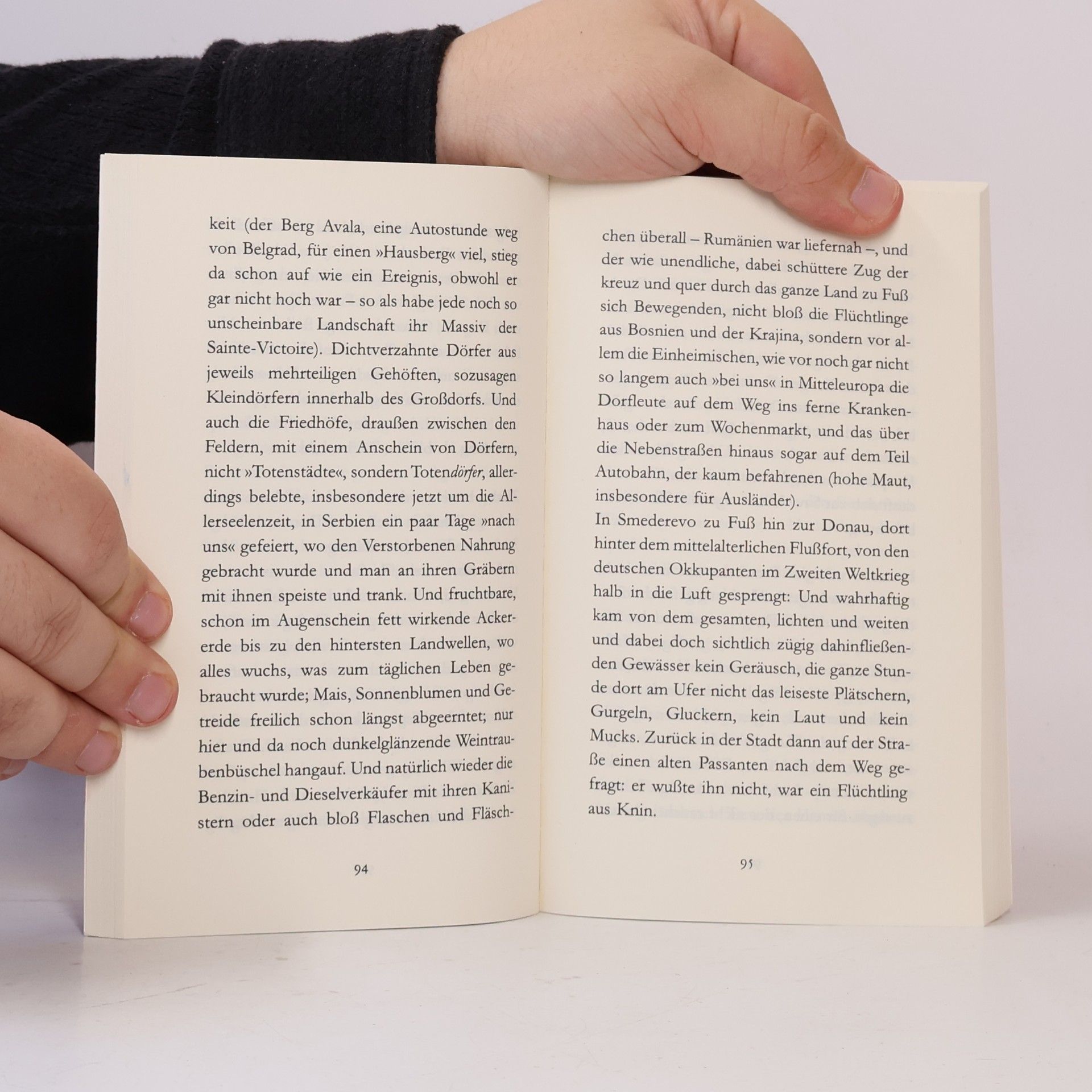 Peter Handke Abschied des Träumers vom neunten Land