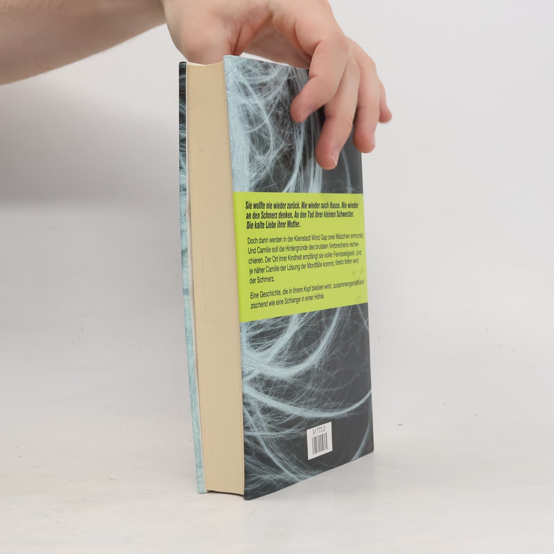 Gillian Flynn Cry Baby