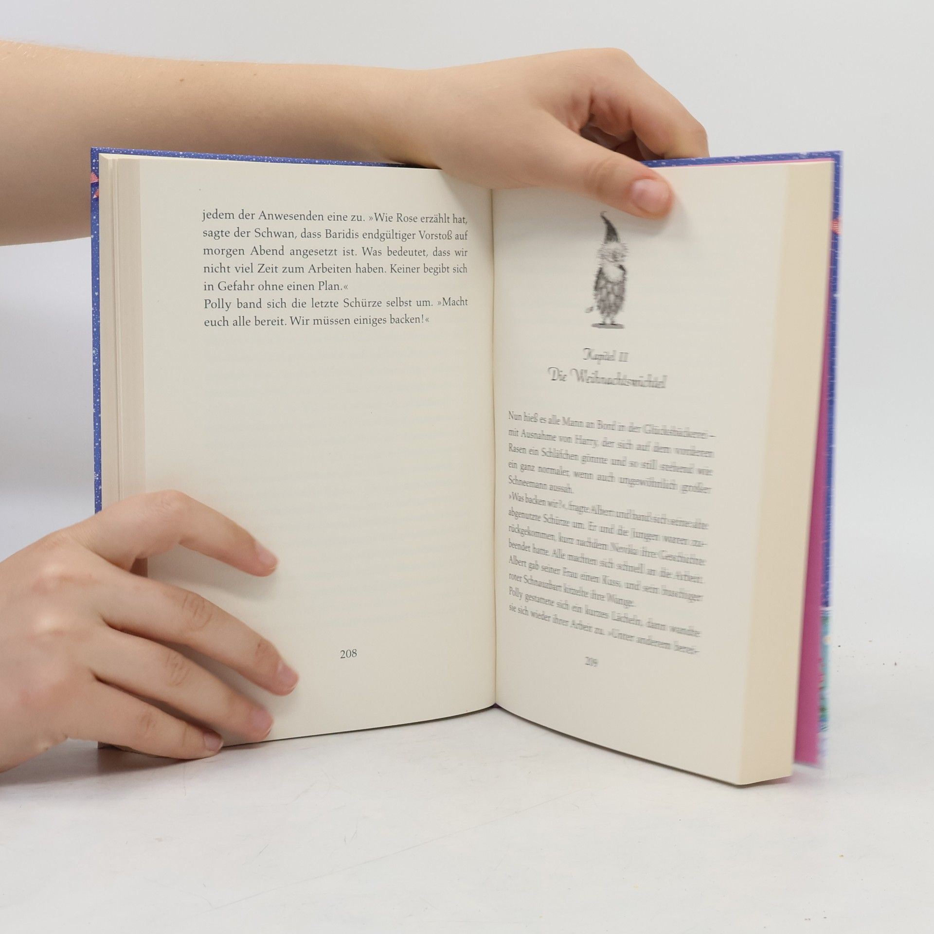 Kathryn Littlewood Das magische Fest