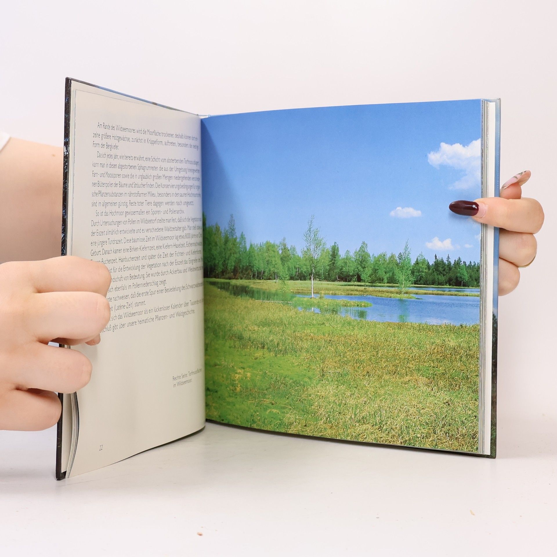 Günter A. Ulmer Zauberhaftes Wildsee-Moor