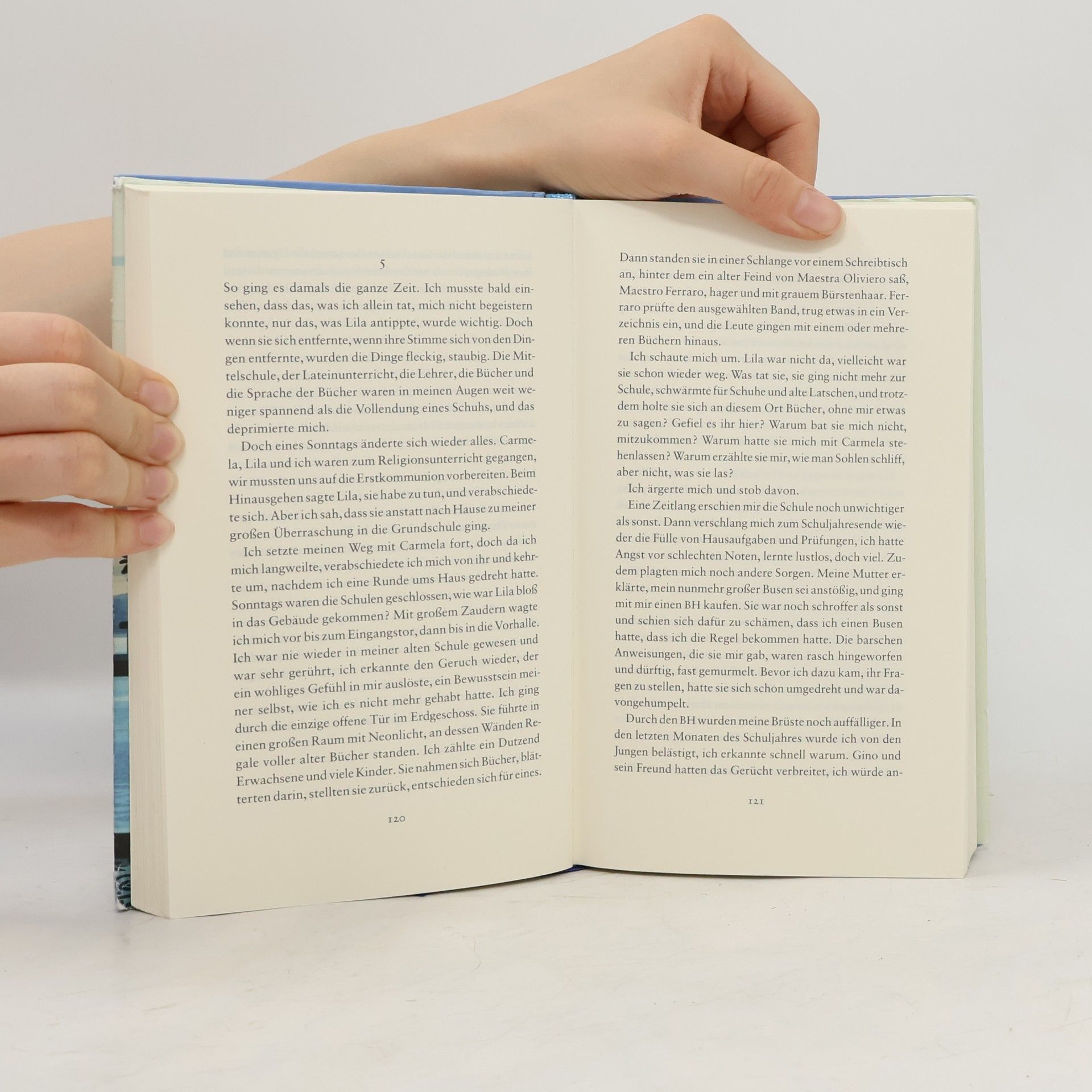Elena Ferrante Meine geniale Freundin