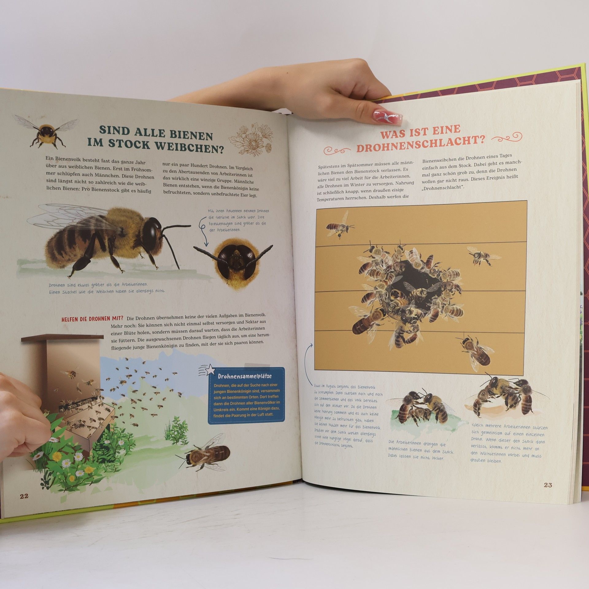 Johanna Prinz Bienen. Wilde Helfer der Natur