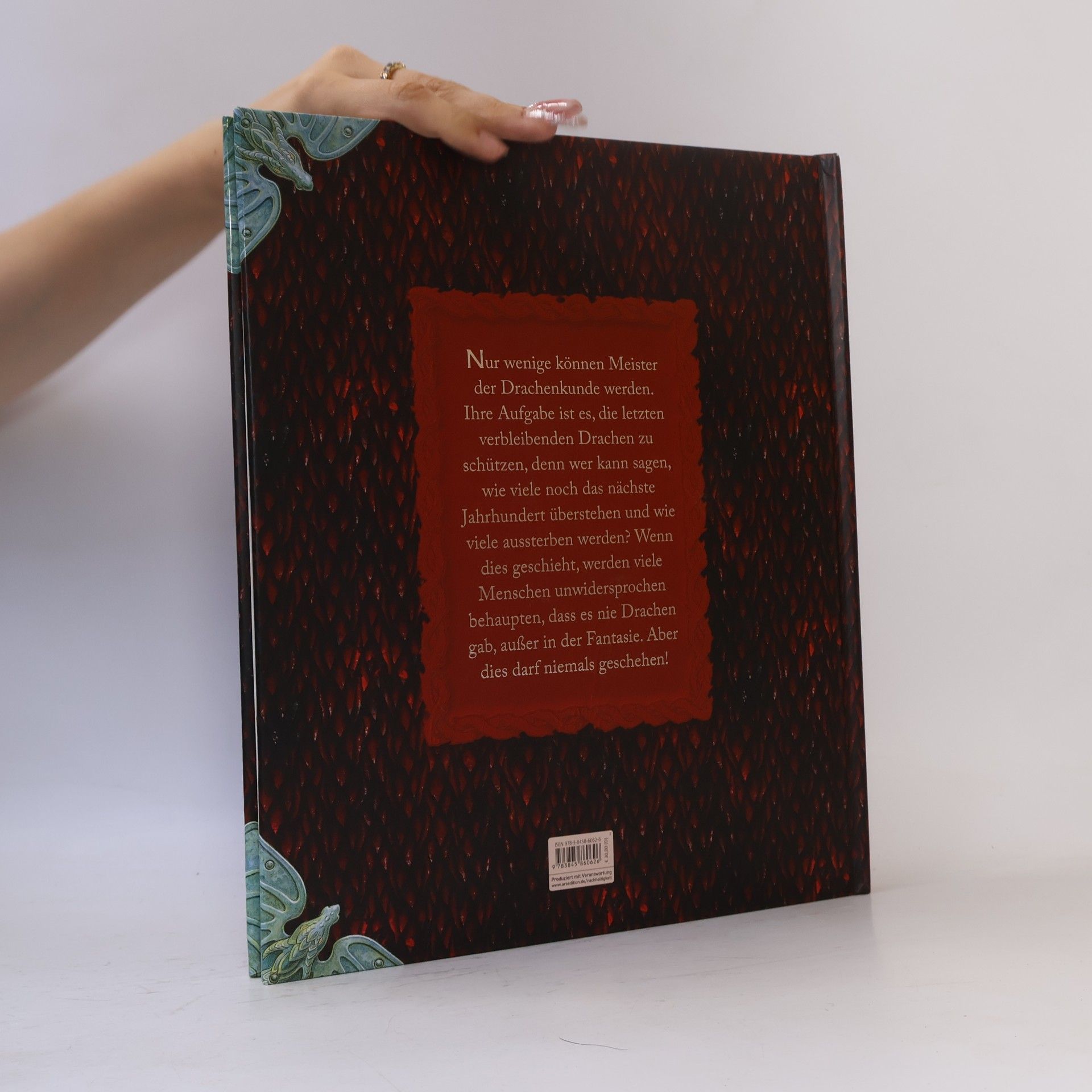 Ernest Drake Expedition in die geheime Welt der Drachen