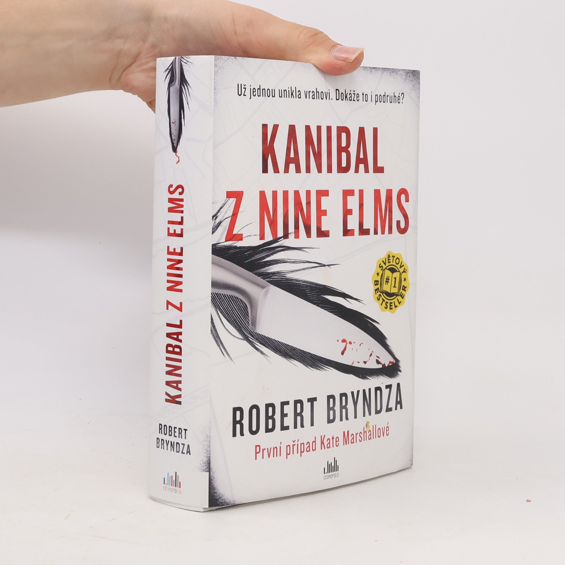 Robert Bryndza Kanibal z Nine Elms