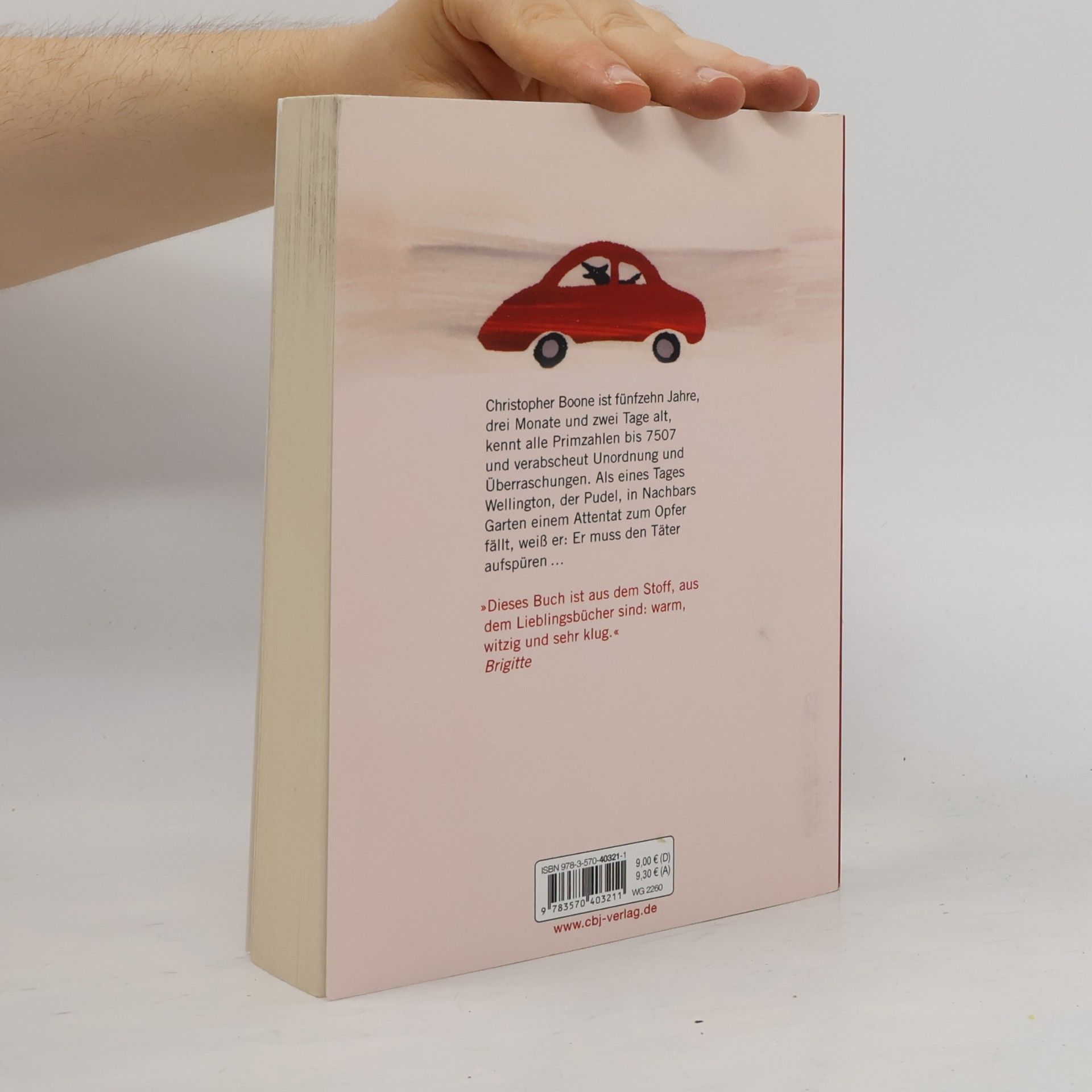 Mark Haddon Supergute Tage oder die sonderbare Welt des Christopher Boone