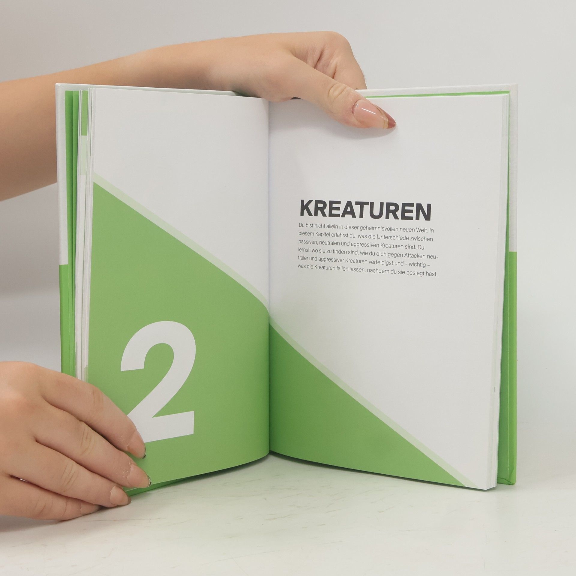 Stephanie Milton Minecraft - Handbuch für Entdecker