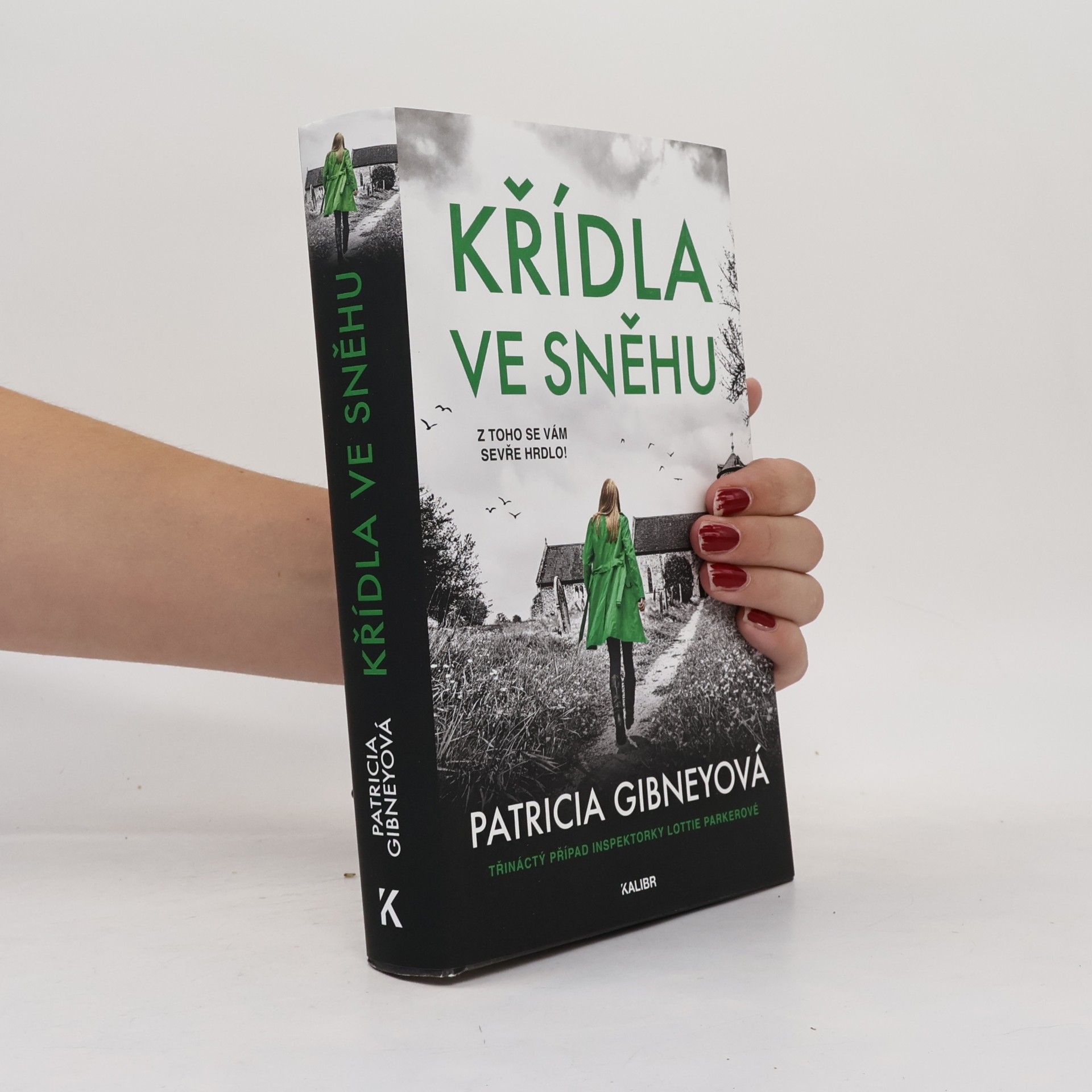 Křídla ve sněhu