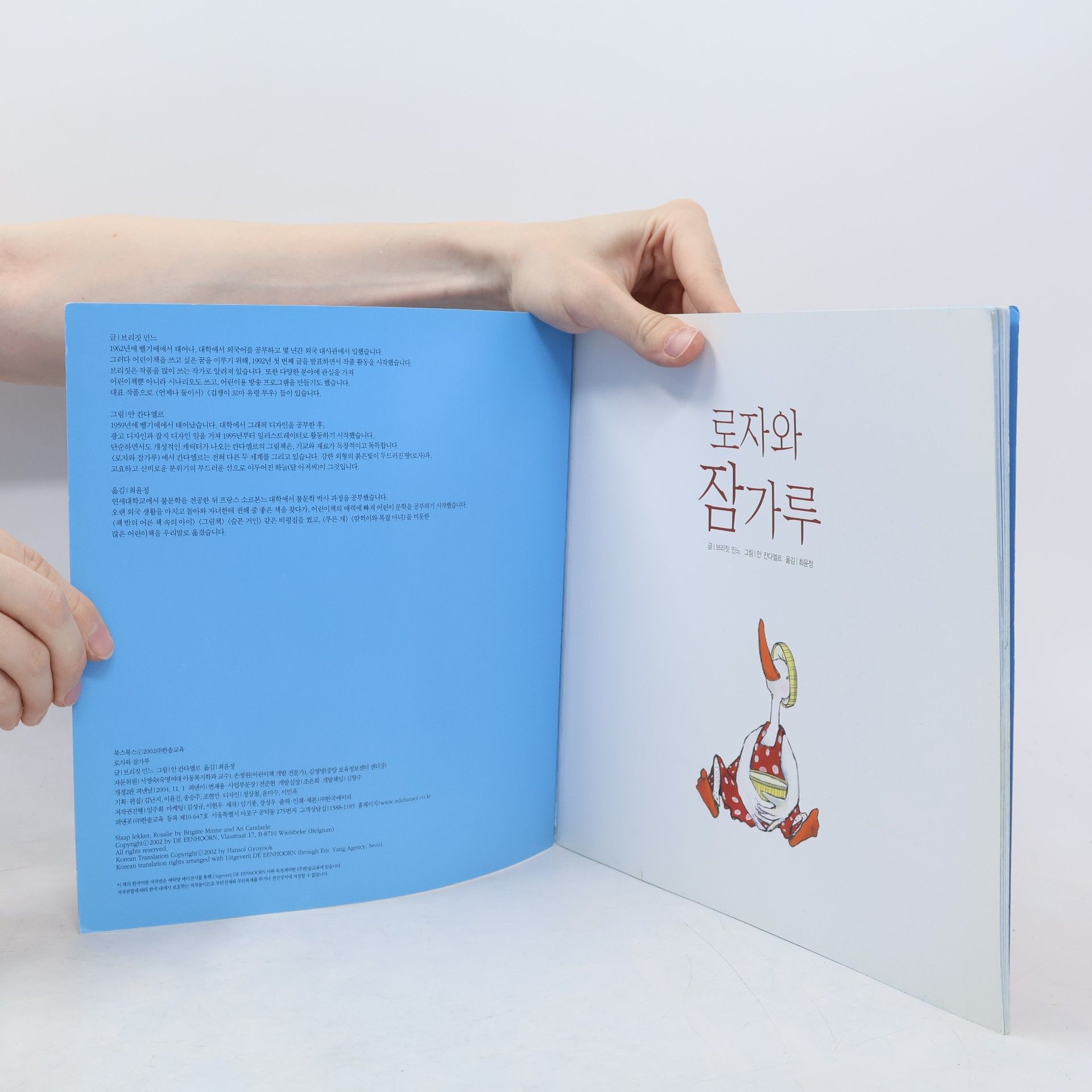 브리짓 민느 로자와 잠가루