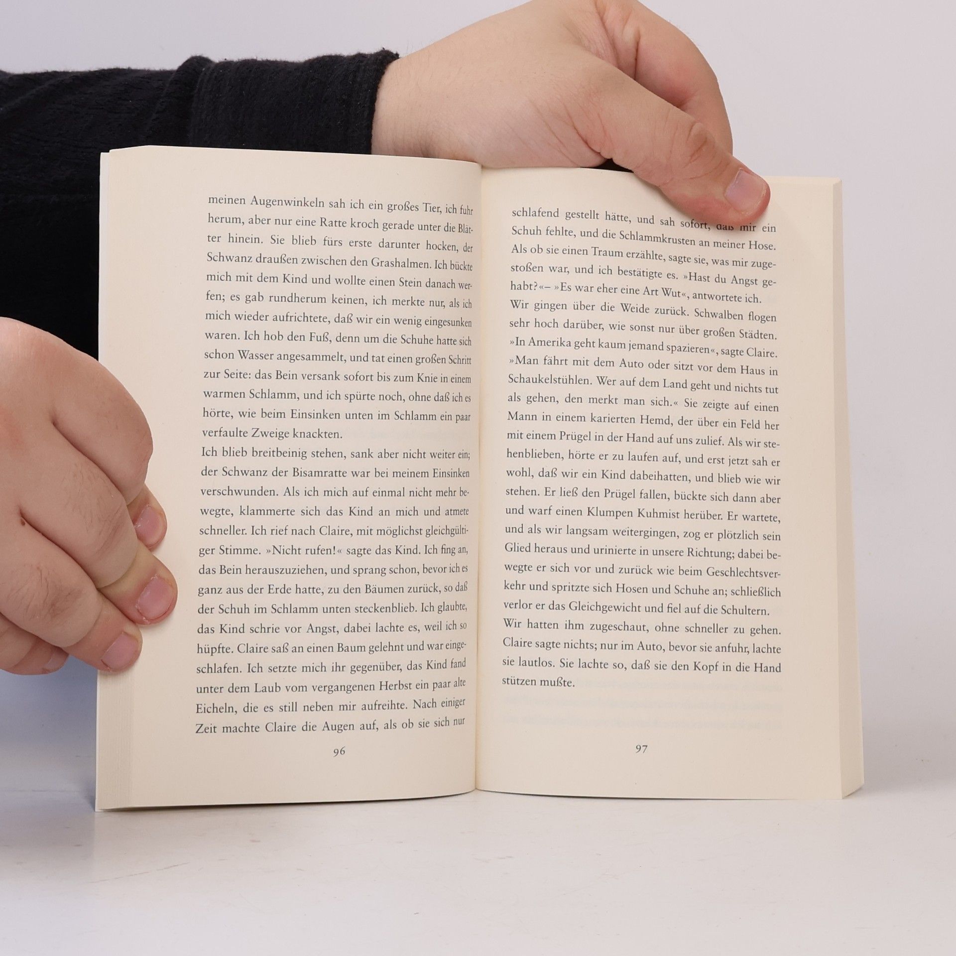 Peter Handke Der kurze Brief zum langen Abschied