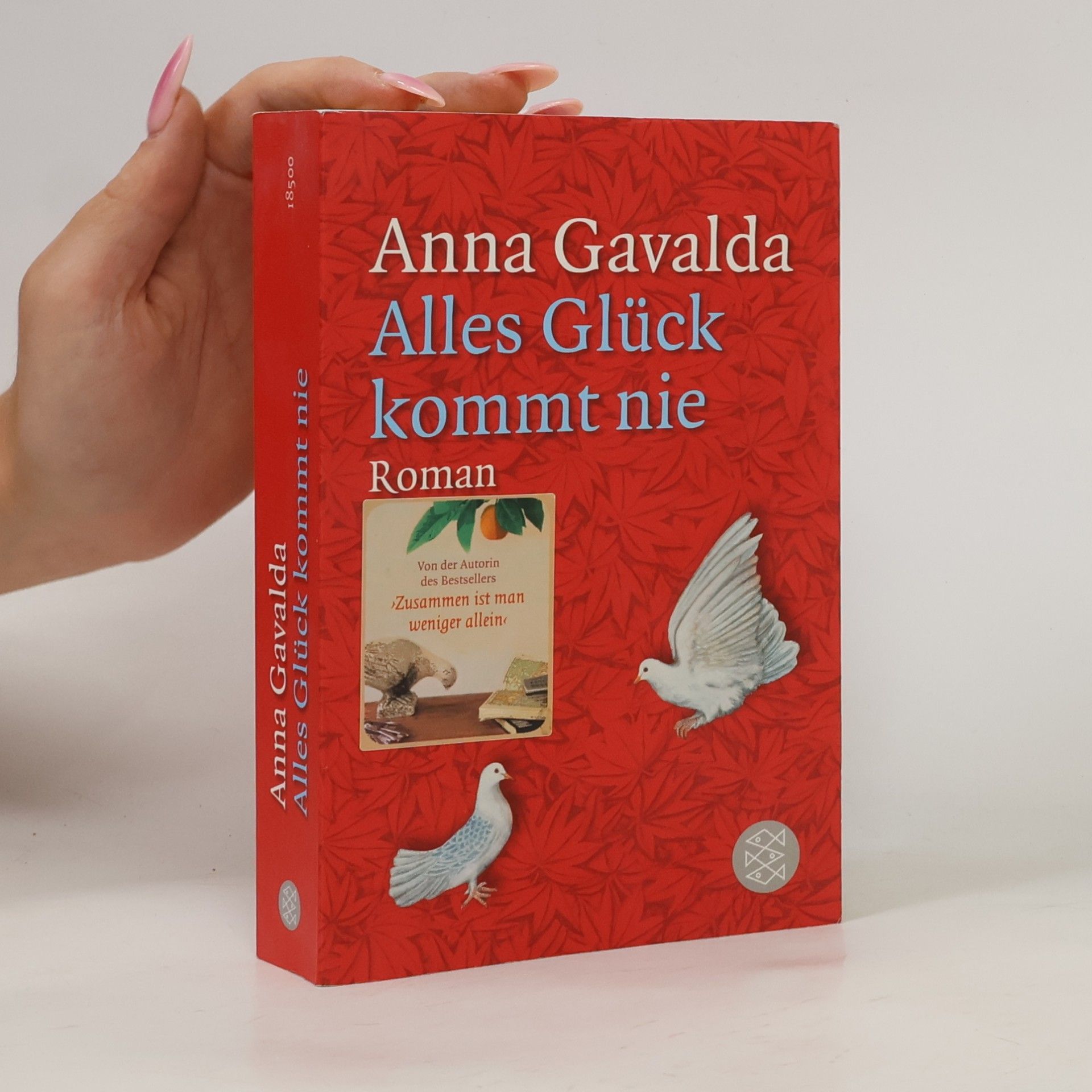 Anna Gavalda Alles Glück kommt nie